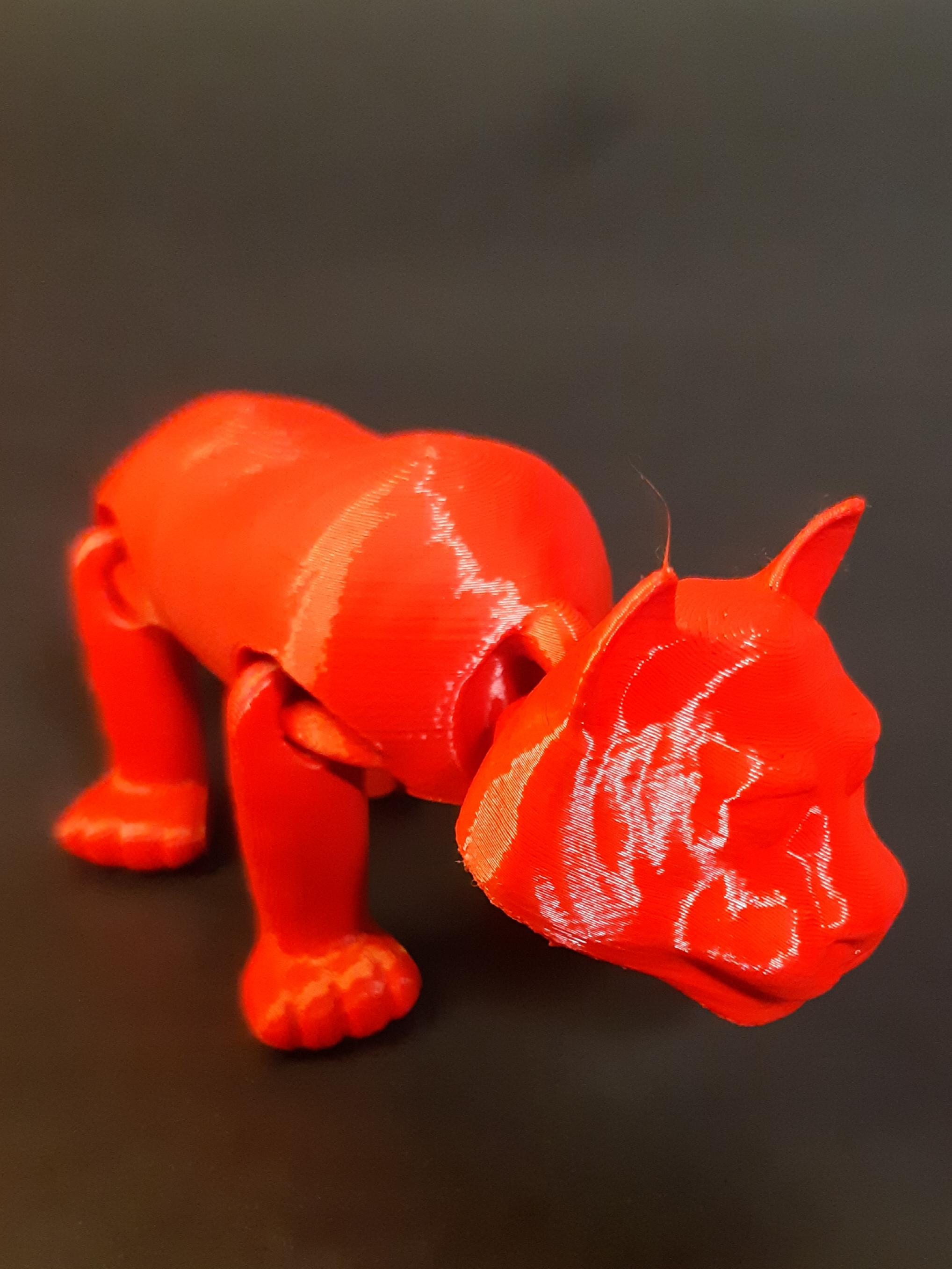 SIMPLE FLEXI TIGER- SUPPORT FREE - PRINT IN PLACE 3d model