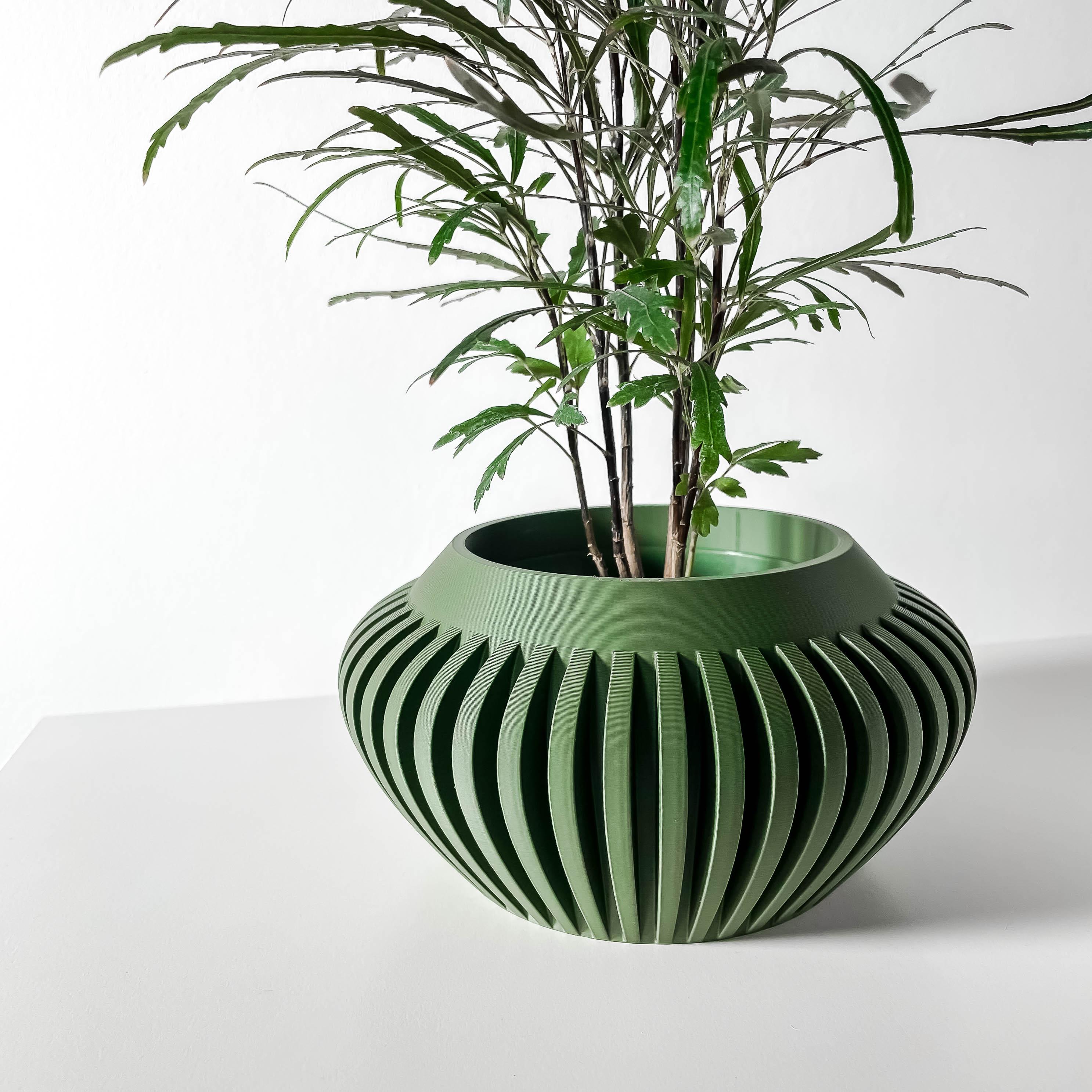 The Caios Planter Pot with Drainage Tray & Stand: Modern and Unique Home Decor for Plants 3d model