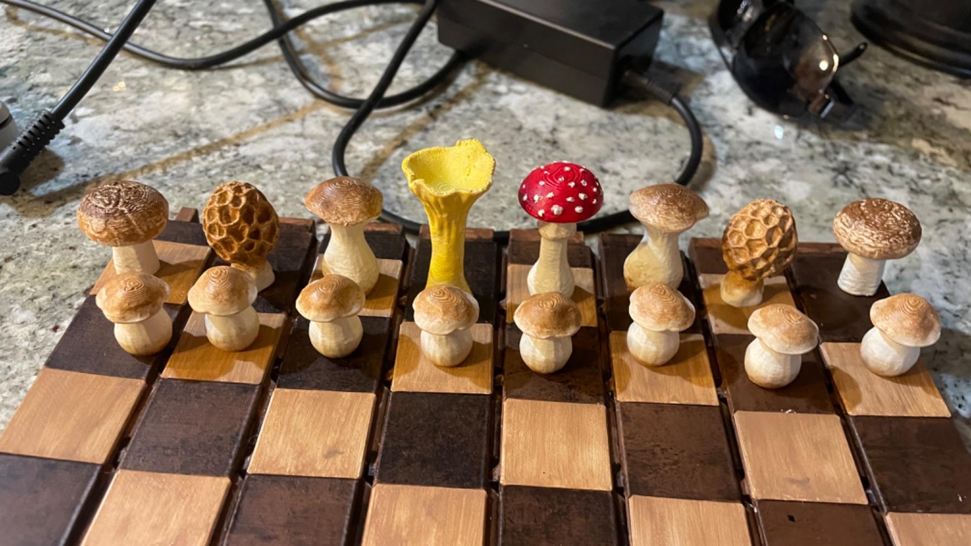 Forest Chess Set - Log and Mushroom Chess Board - Acorn Checkers 3d model