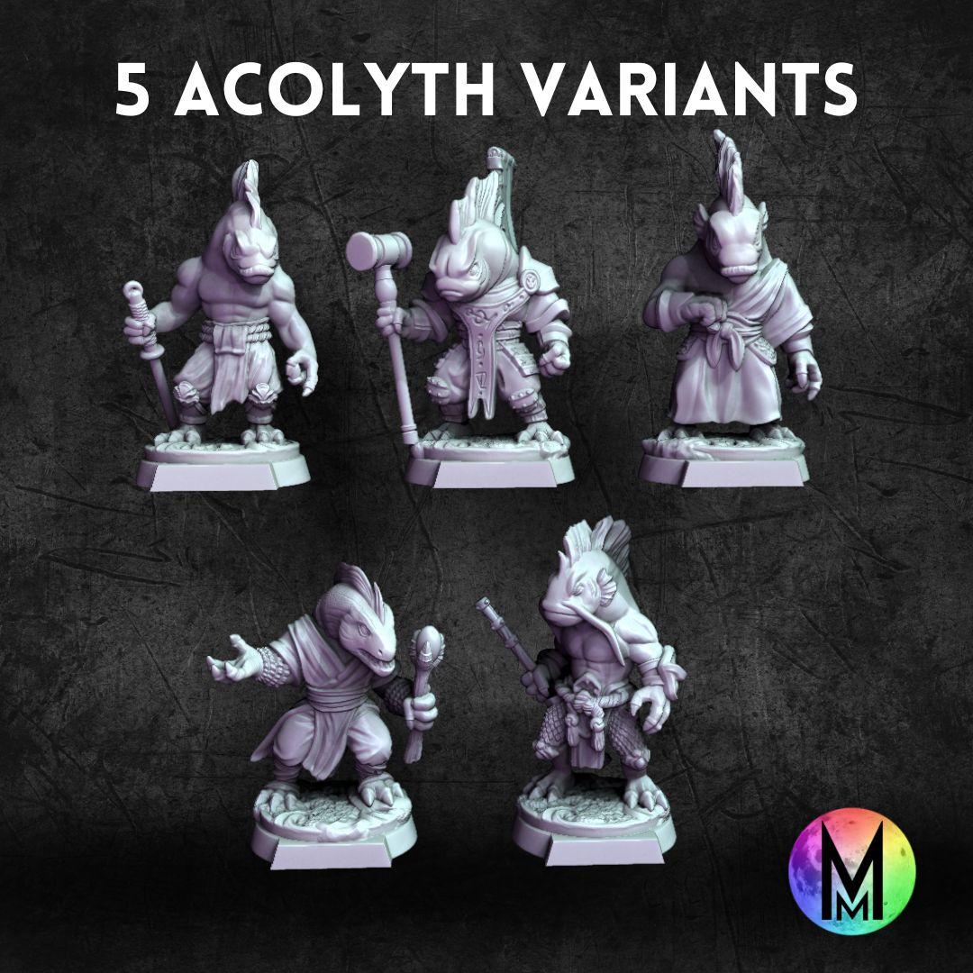Acolith Variants (Set of 5 models that are variants of the other acolyths) 3d model