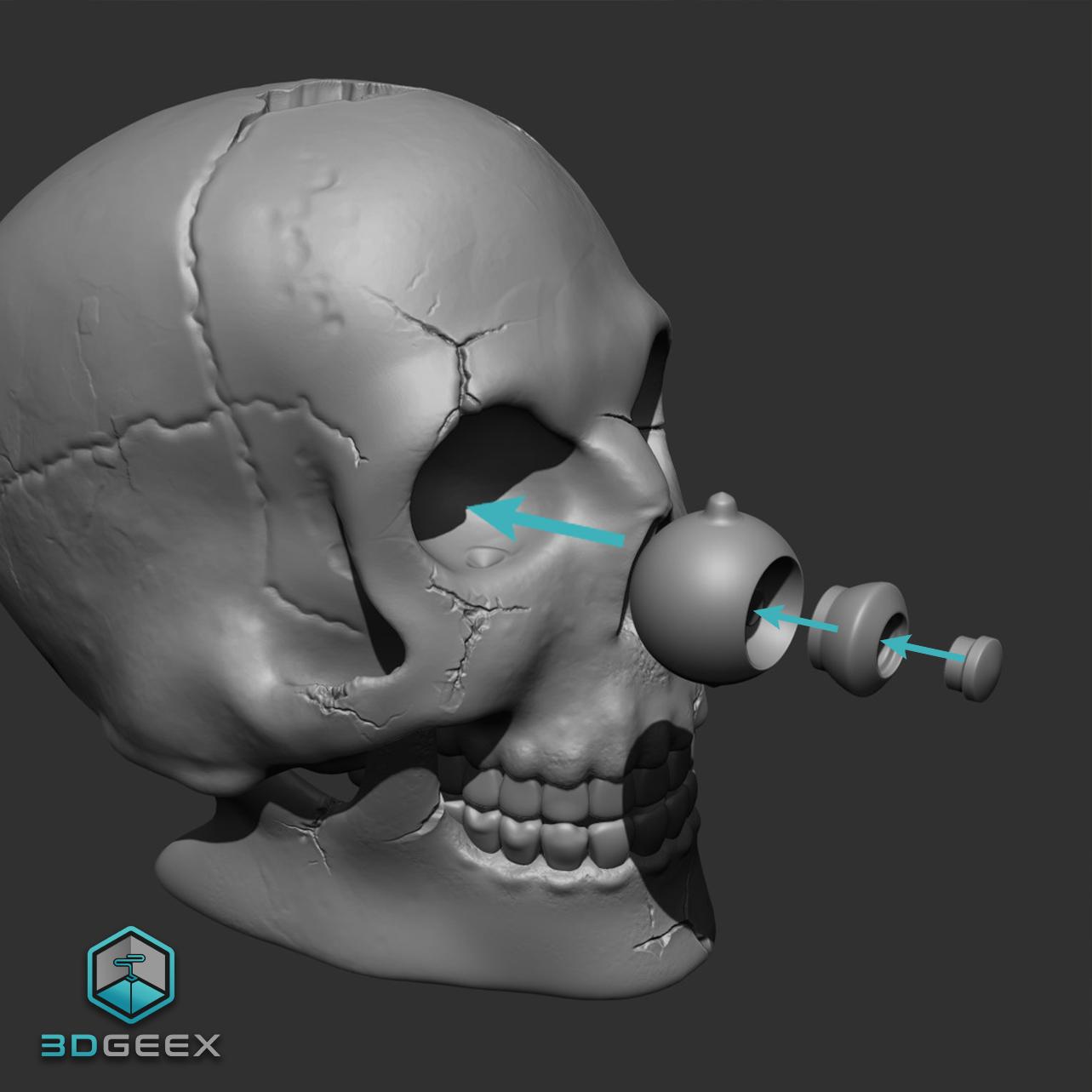 The Staring Skull 3d model