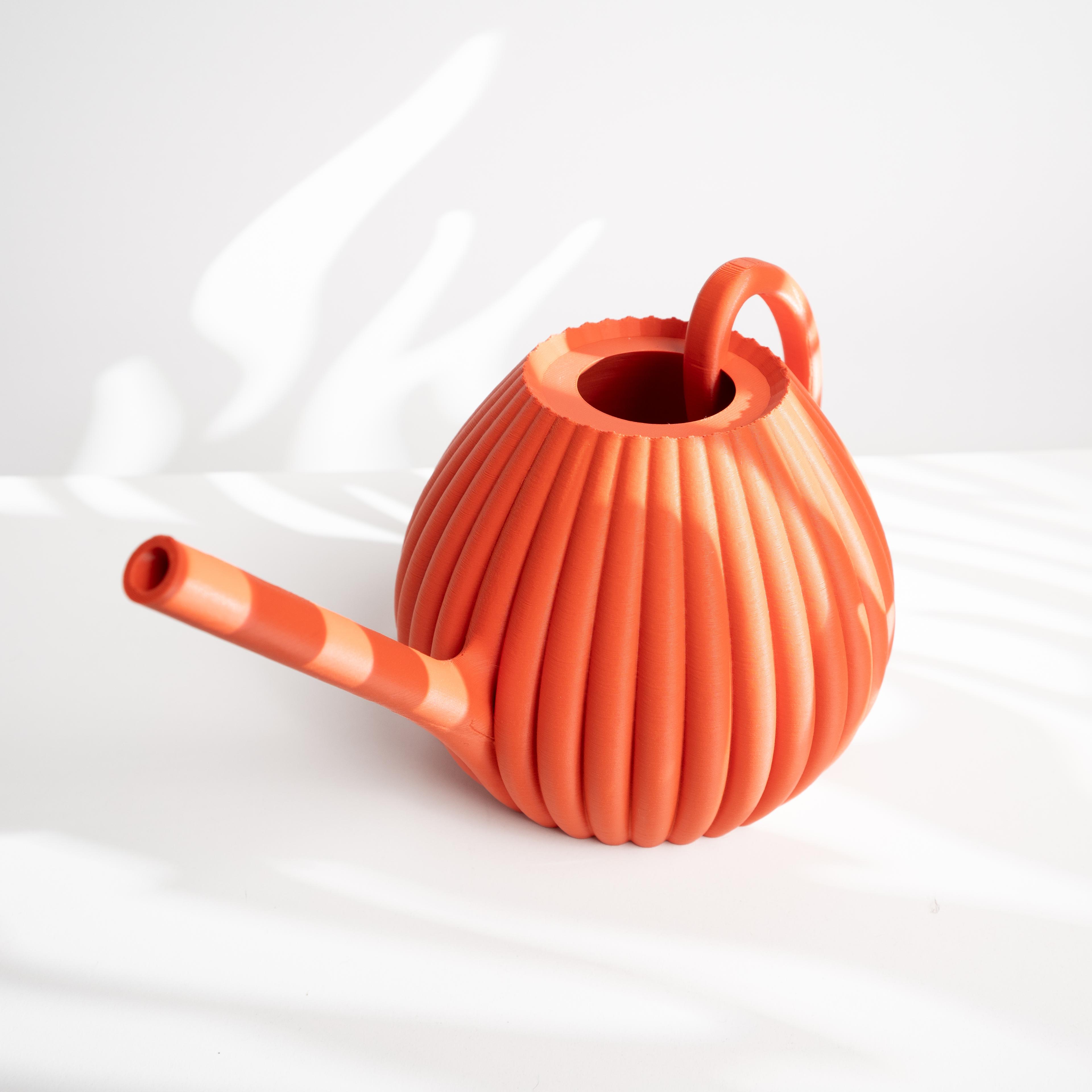 The Vason Watering Can for Houseplants, Flowers, and Succulents | Modern Home Decor for Plants 3d model