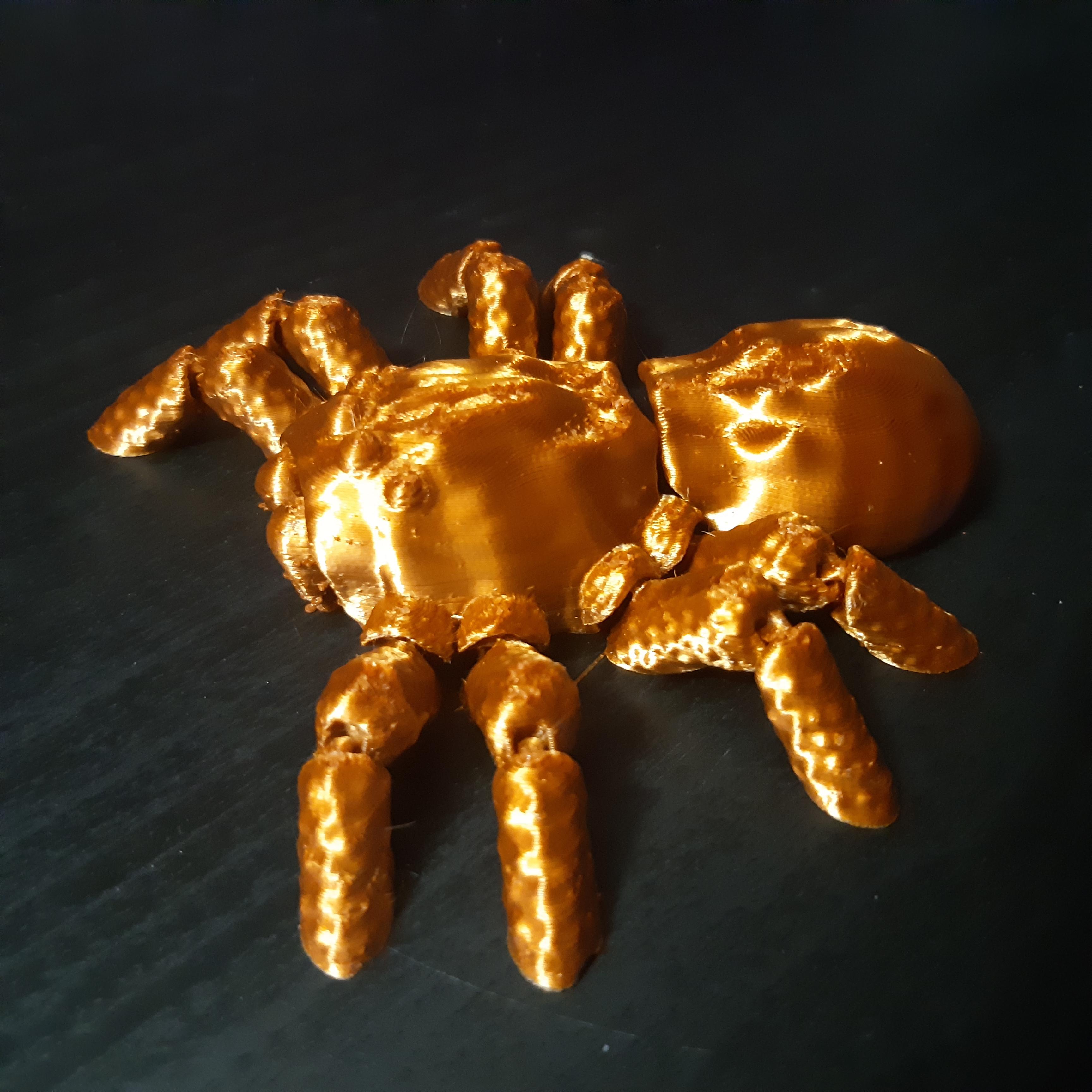 FLEXI CHUNKY SPIDER WITH HAIRY FANGS - PRINT-IN-PLACE - SUPPORT FREE 3d model