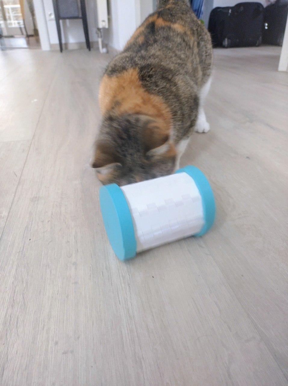 cat treat tumbler 3d model