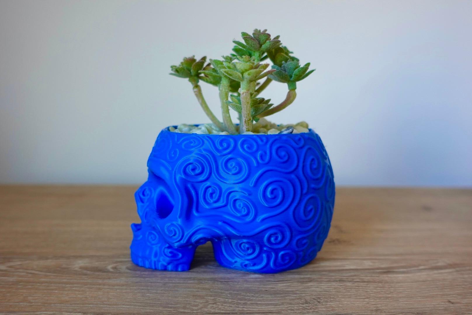 Sugar Skull Planter Pot 3d model