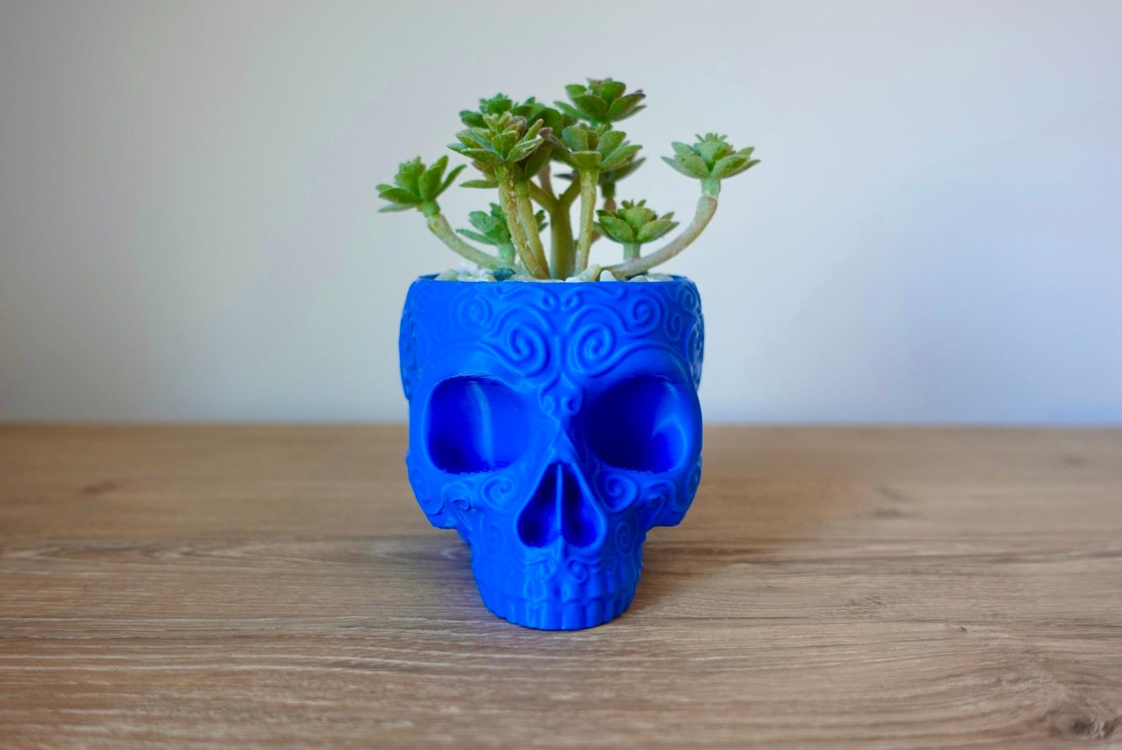 Sugar Skull Planter Pot 3d model