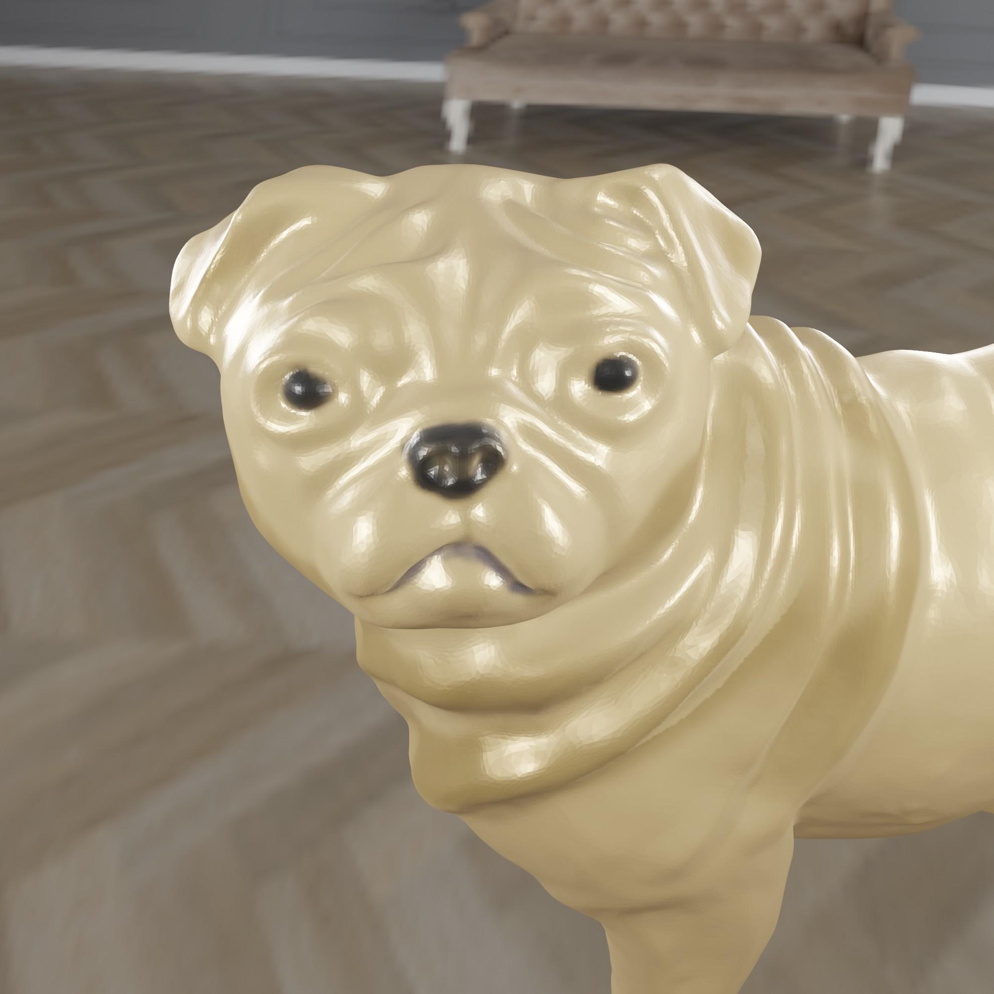 Dog Carlin Franck 3d model