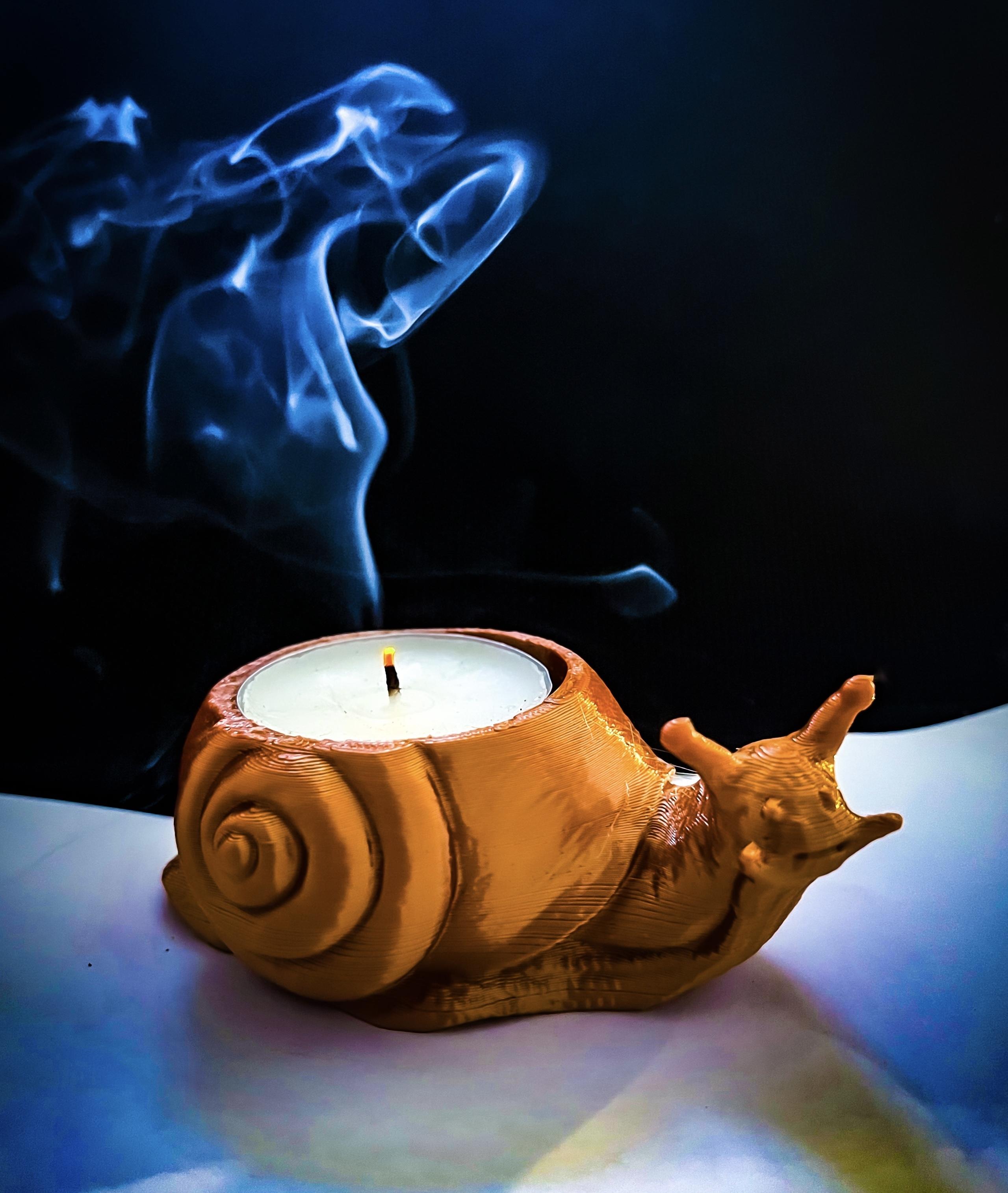 Candle Snail 3d model