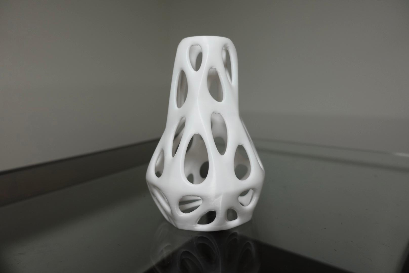 Abstract Vase (Design1) 3d model