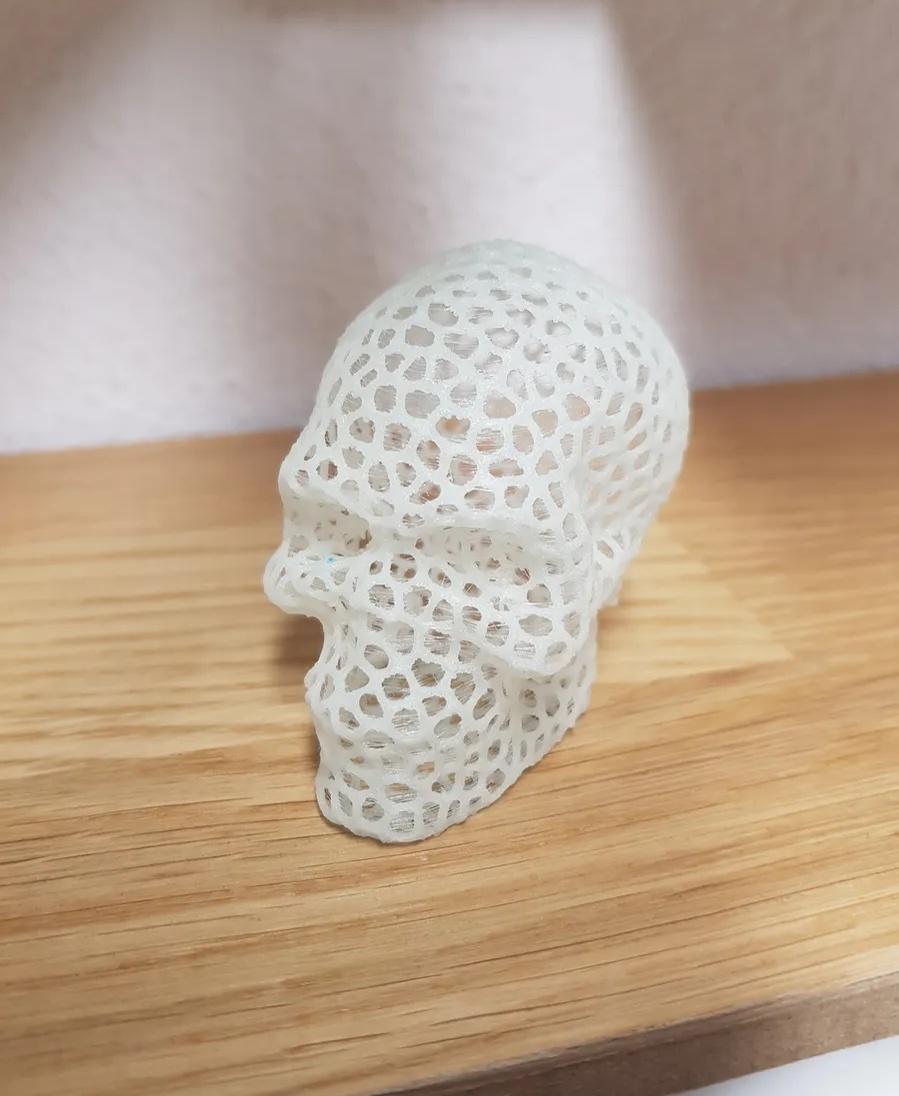 Voronoi Skull 3d model
