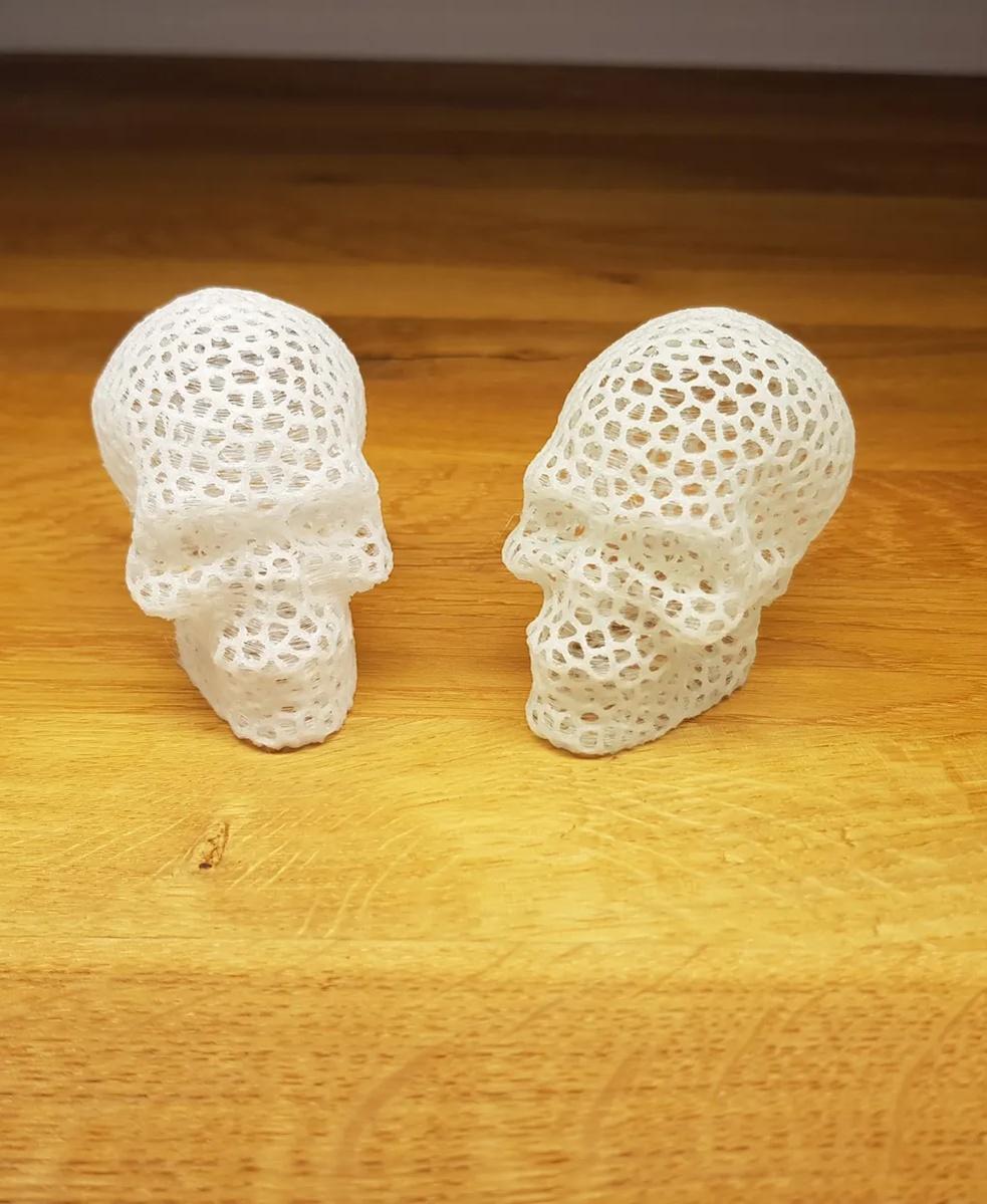 Voronoi Skull 3d model