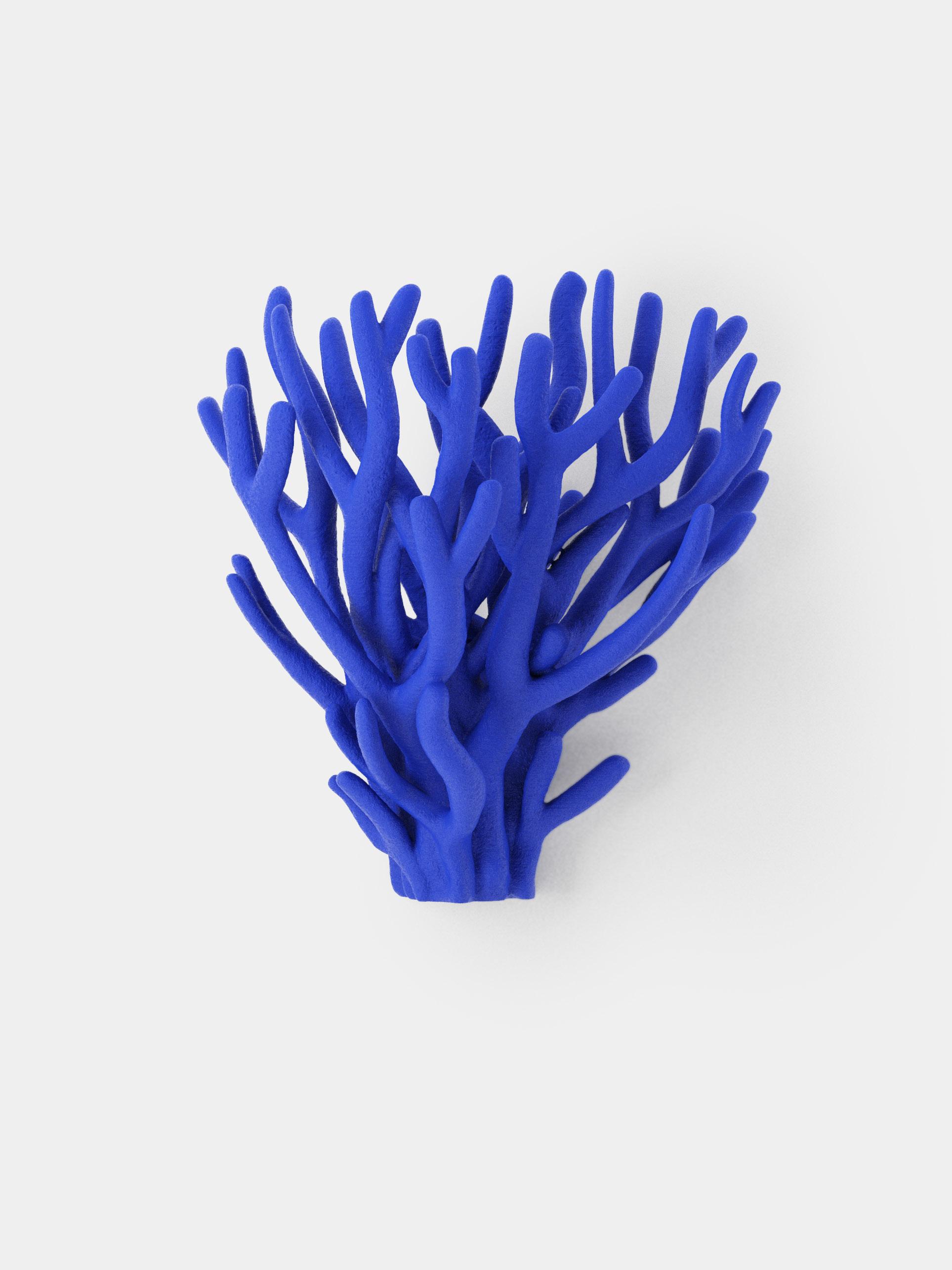 Coral  | Wall Mounted 3d model