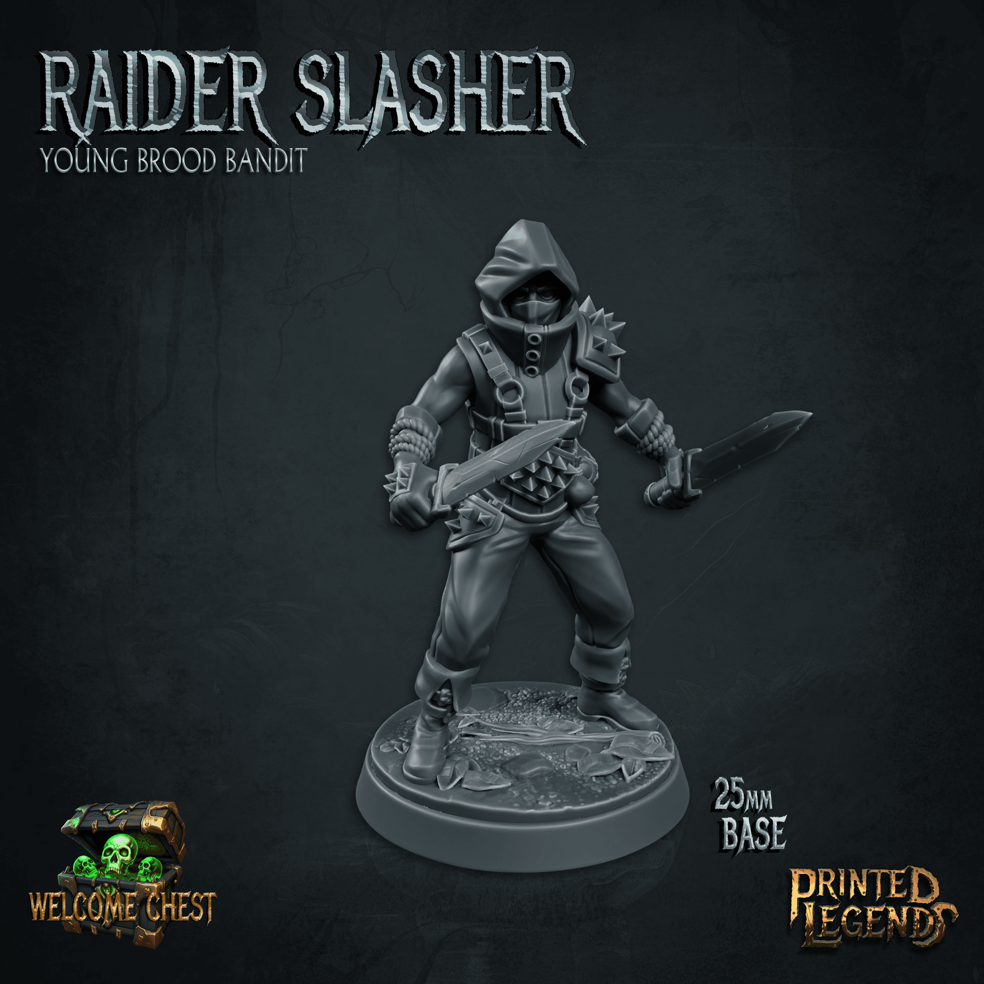 Raider 01 (25mm Base) 3d model