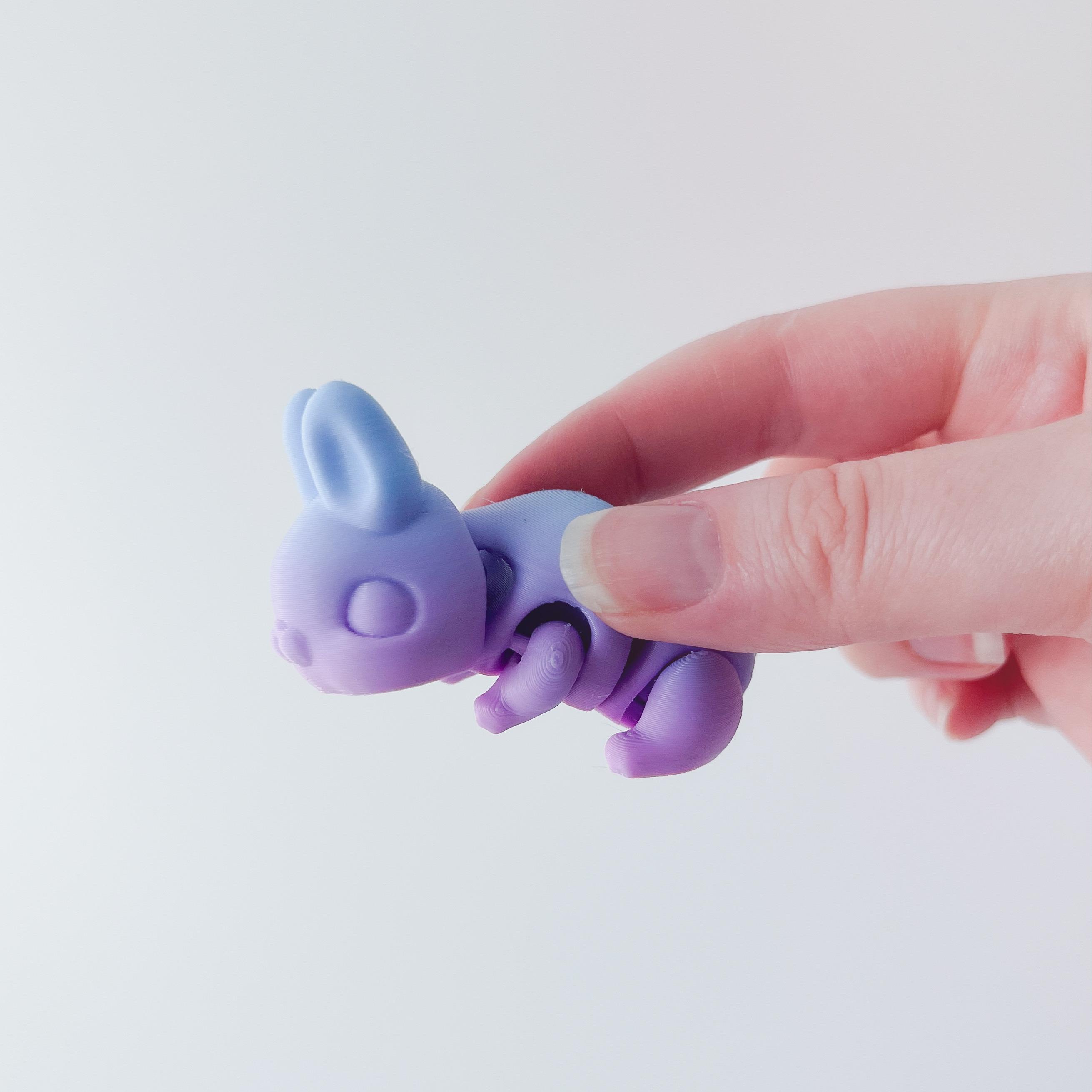 Bunny Flexi 3d model