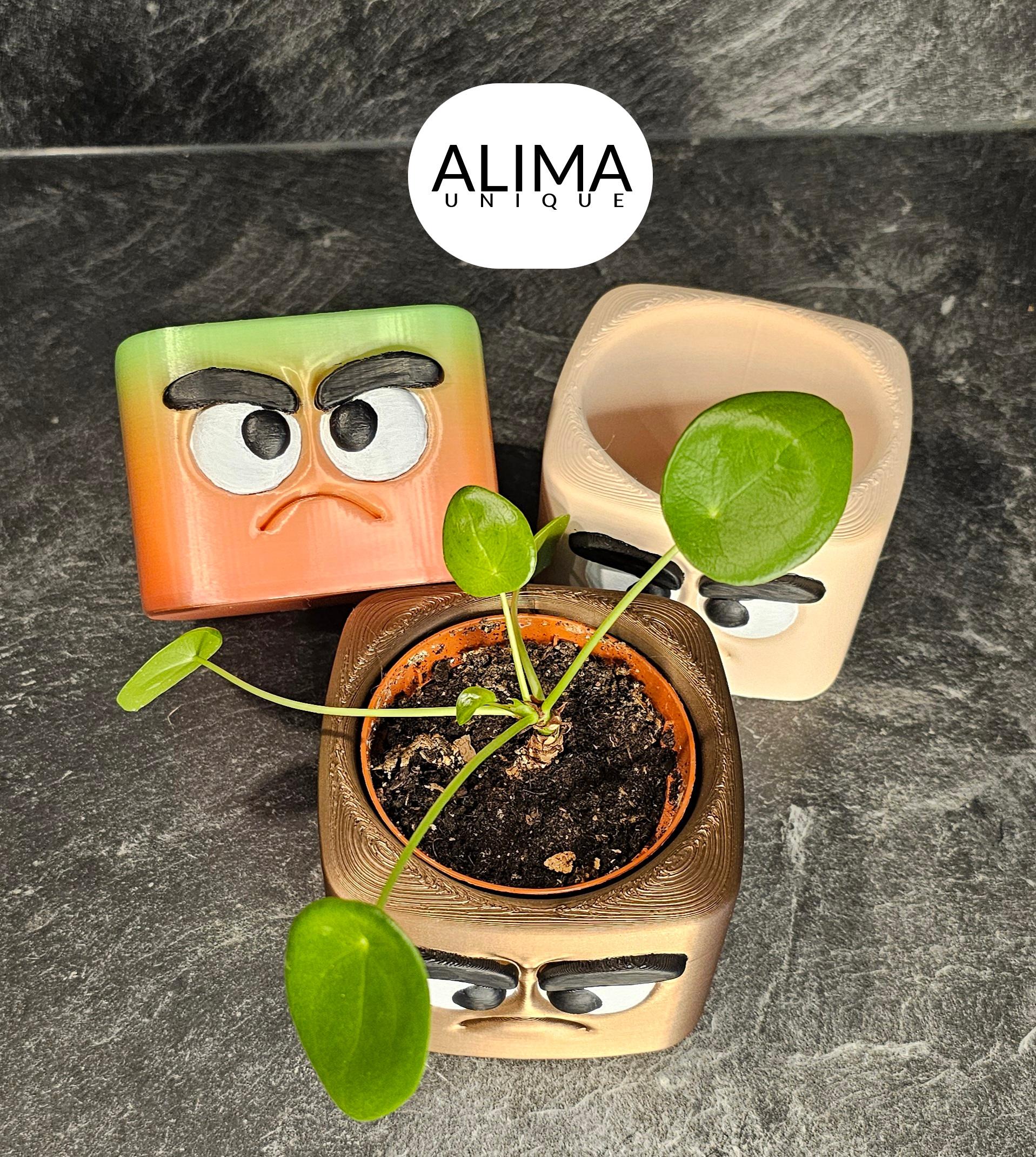 Grumpy buddy plant pot 3d model