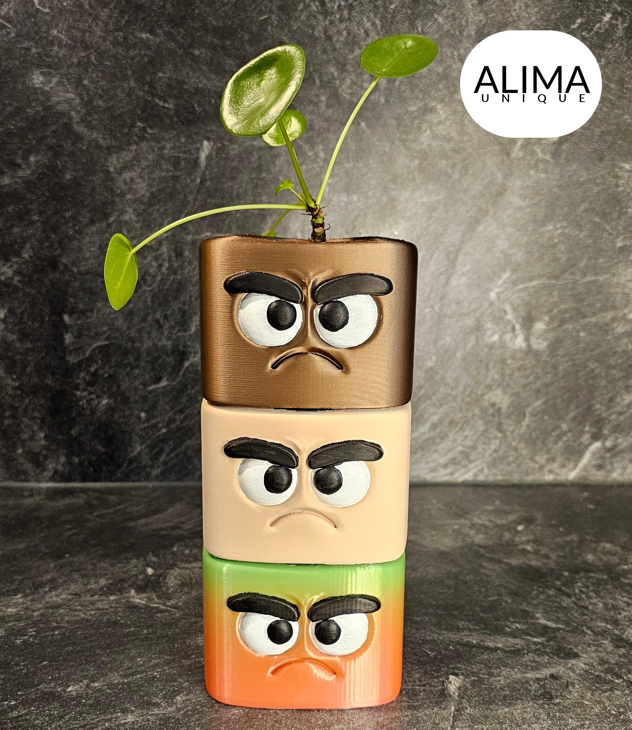 Grumpy buddy plant pot 3d model