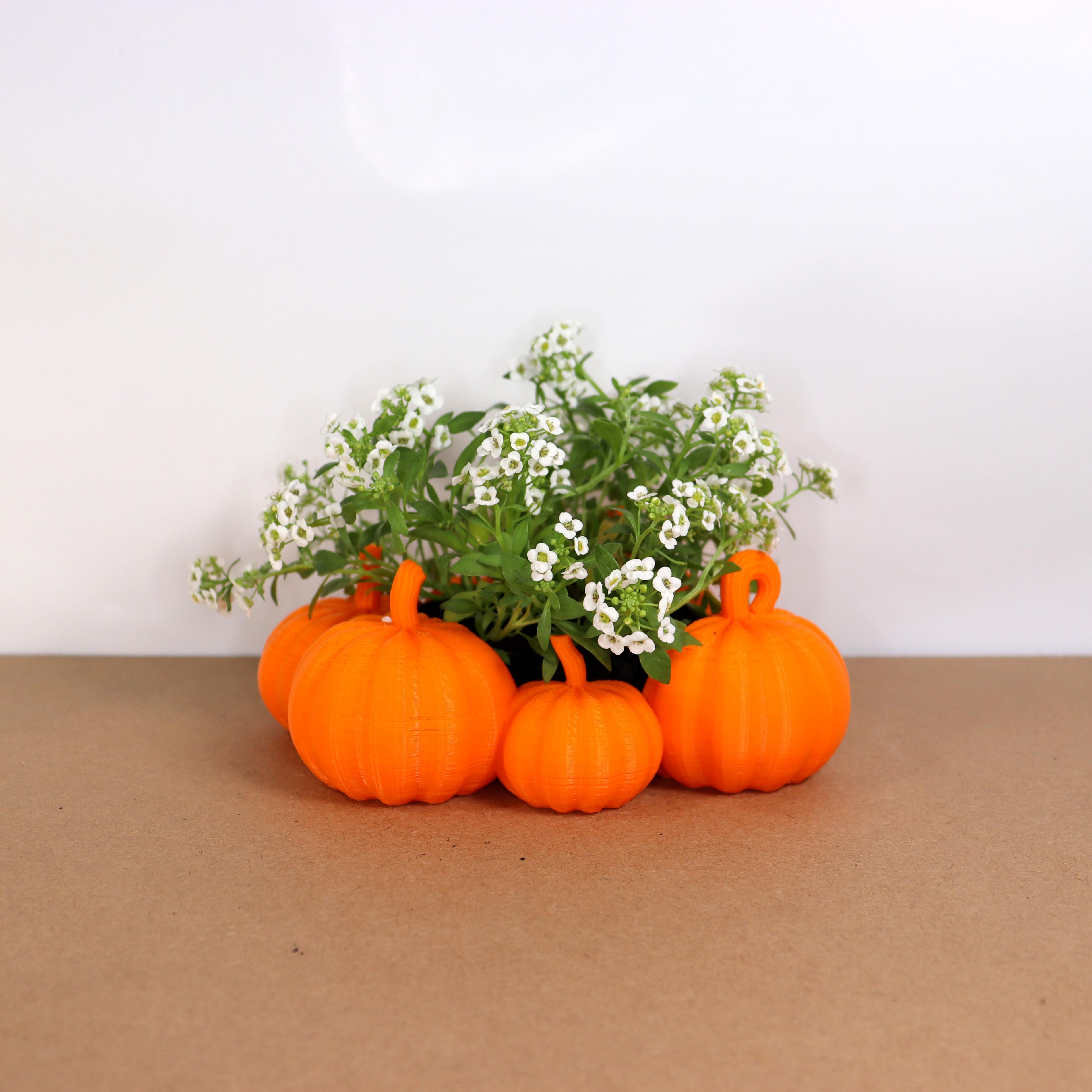 Pumpkin patch planter 3d model