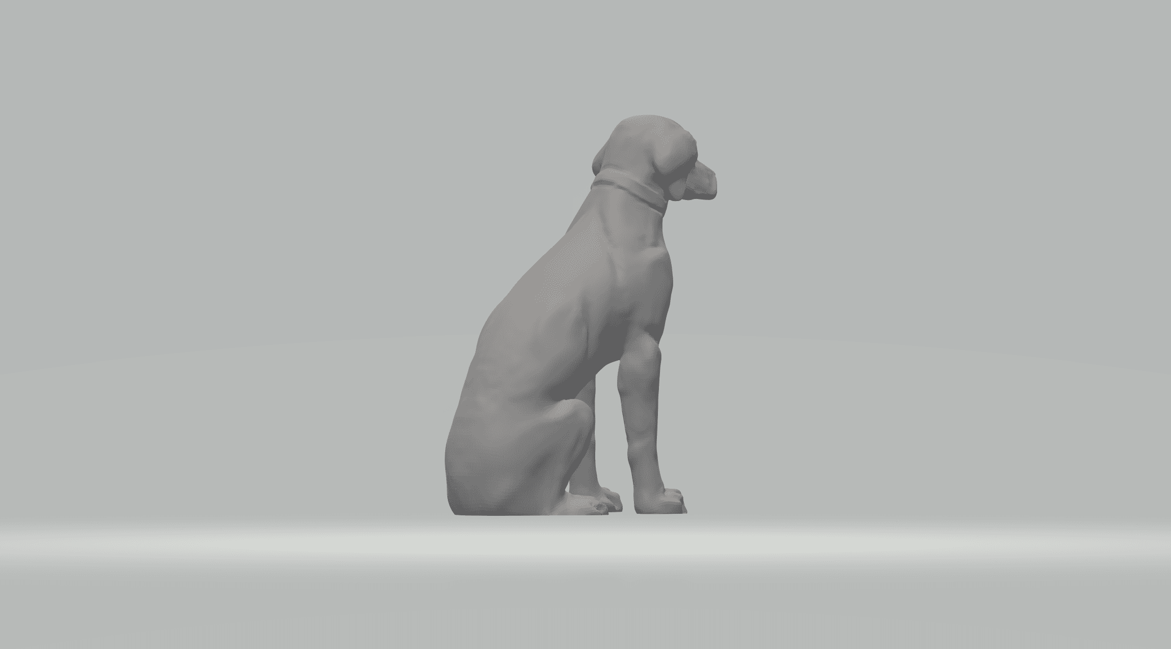 Labrador Retriever 3d model