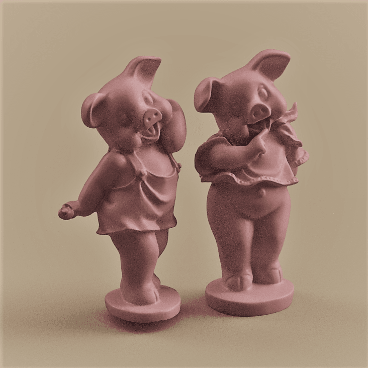 Pig Boy and Girl 3d model