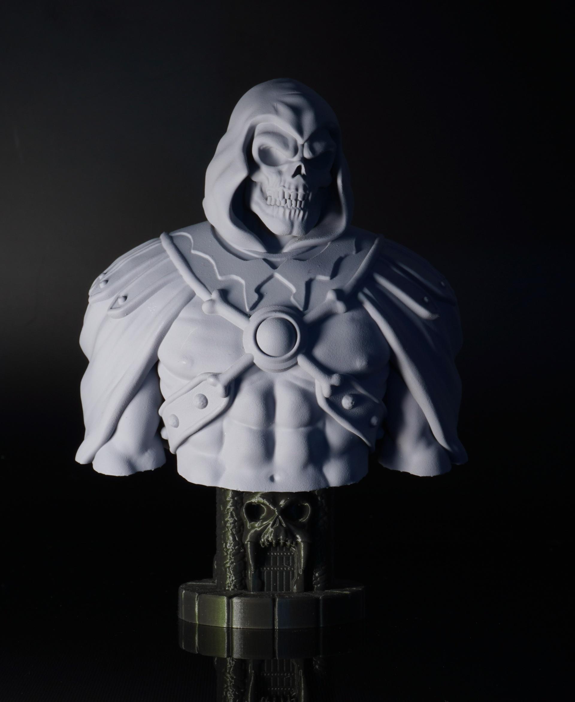 Skeletor Bust (Pre-Supported) 3d model