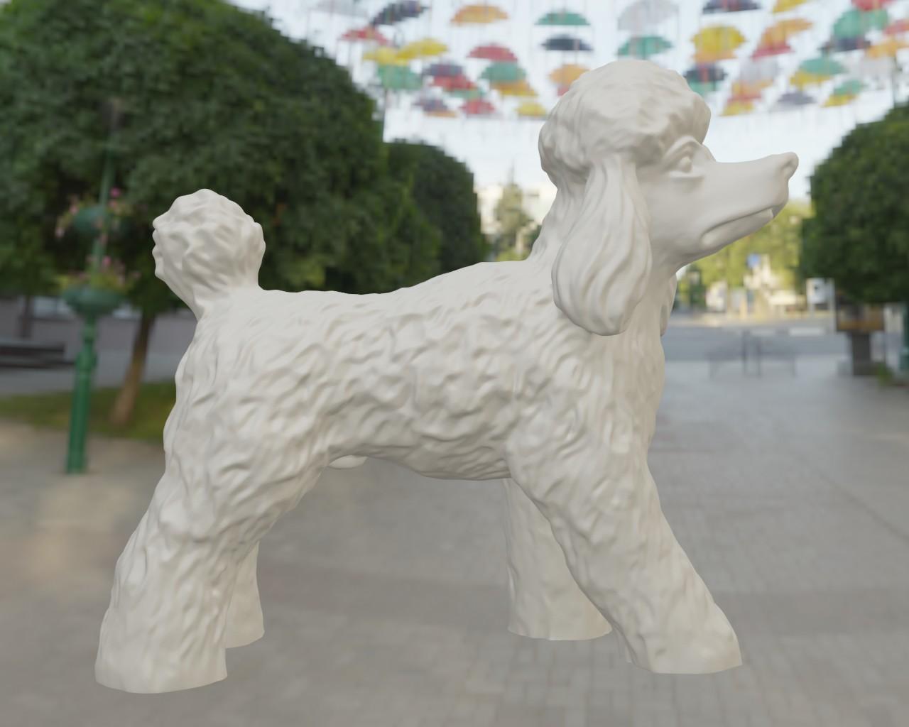 CANICHE ROYAL POODLE STANDARD 3d model