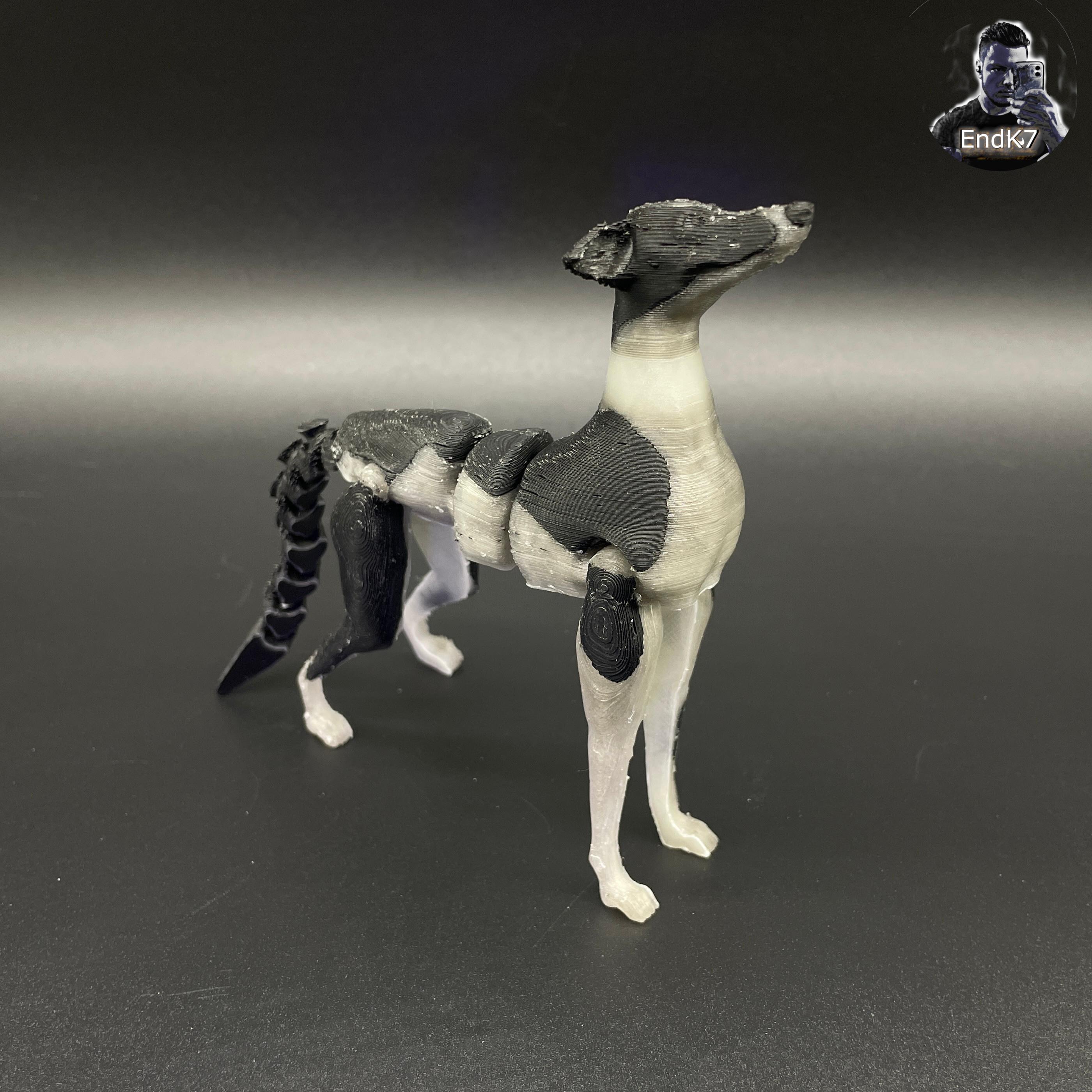 Articulated Dog - Greyhound 🐶Print in Place - no supports - flexible 3d model