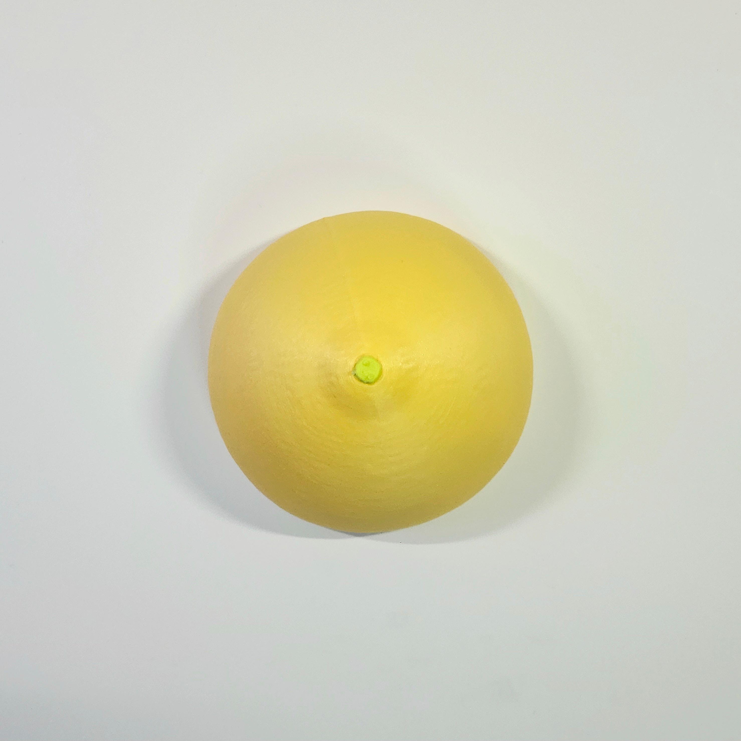 Lemon + Lime Decorative Citrus-Themed Wall Art :: LOW-HANGING FRUIT [SET] 3d model