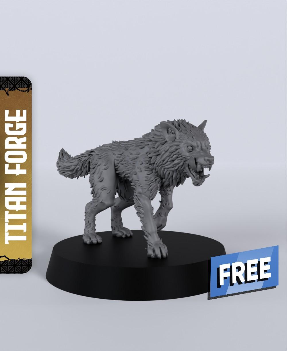 Wolf D - With Free Dragon Warhammer - 5e DnD Inspired for RPG and Wargamers 3d model