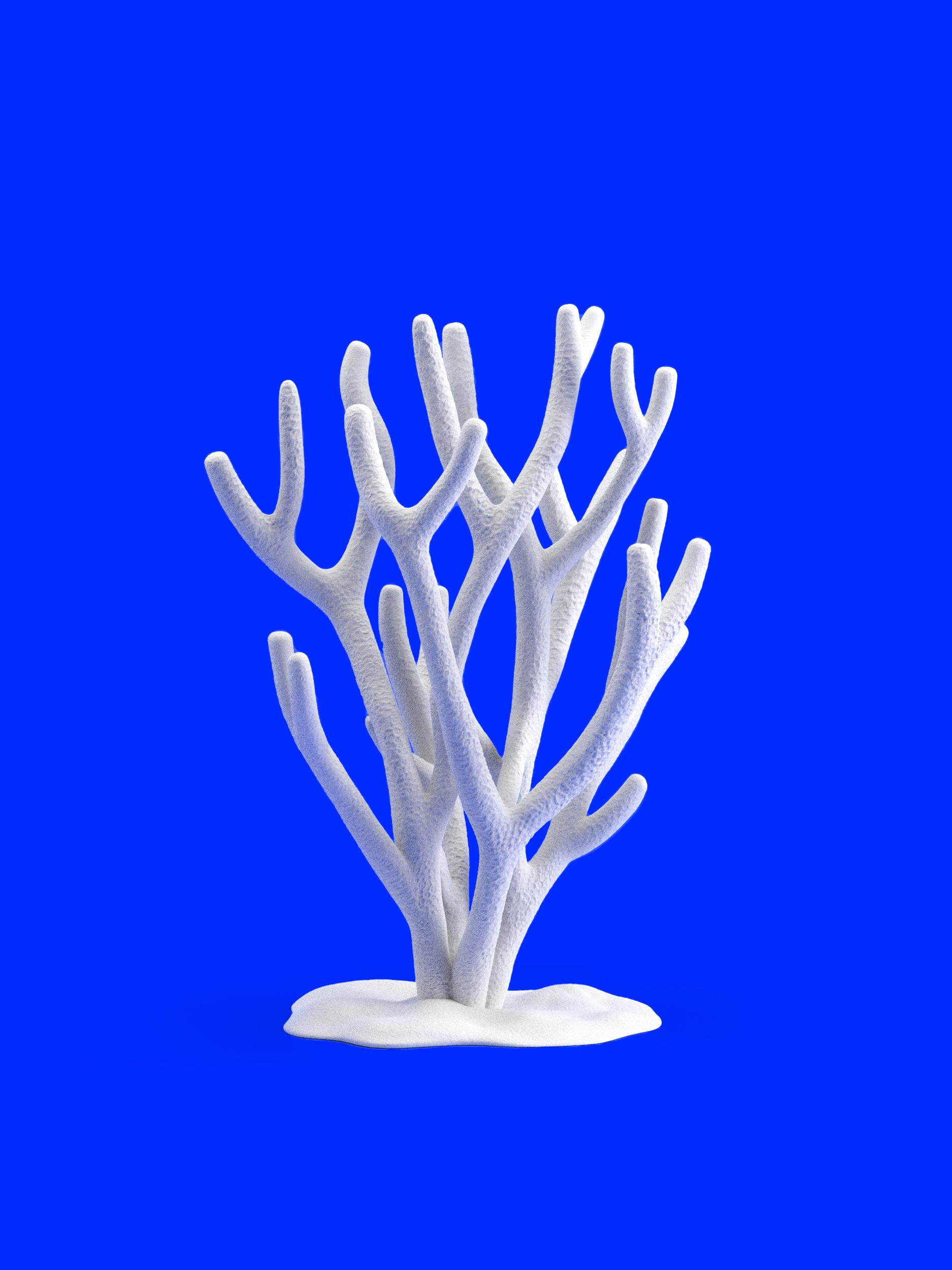Coral Jewelry Stand 3d model