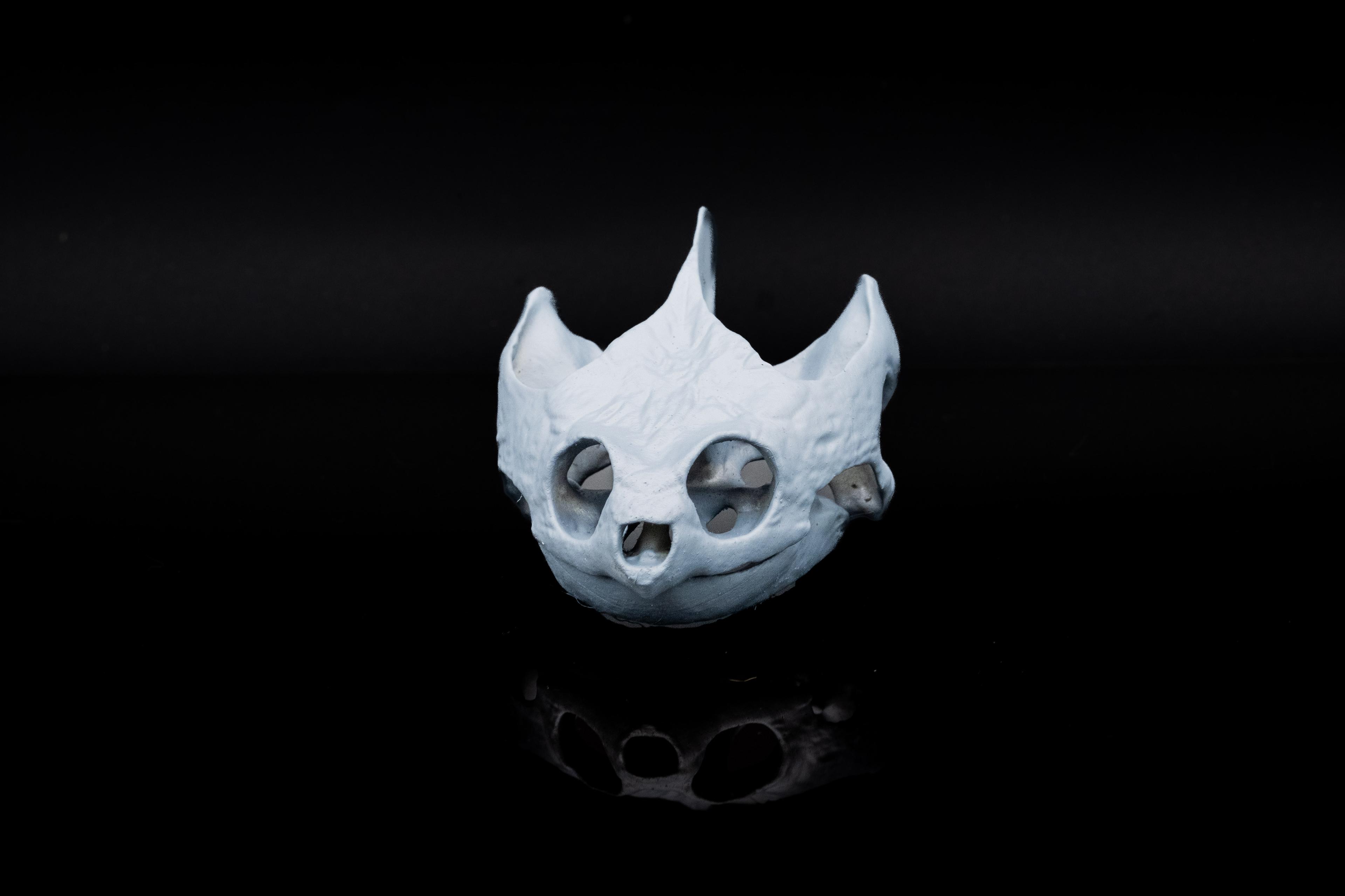 Snapping Turtle Skull 3d model