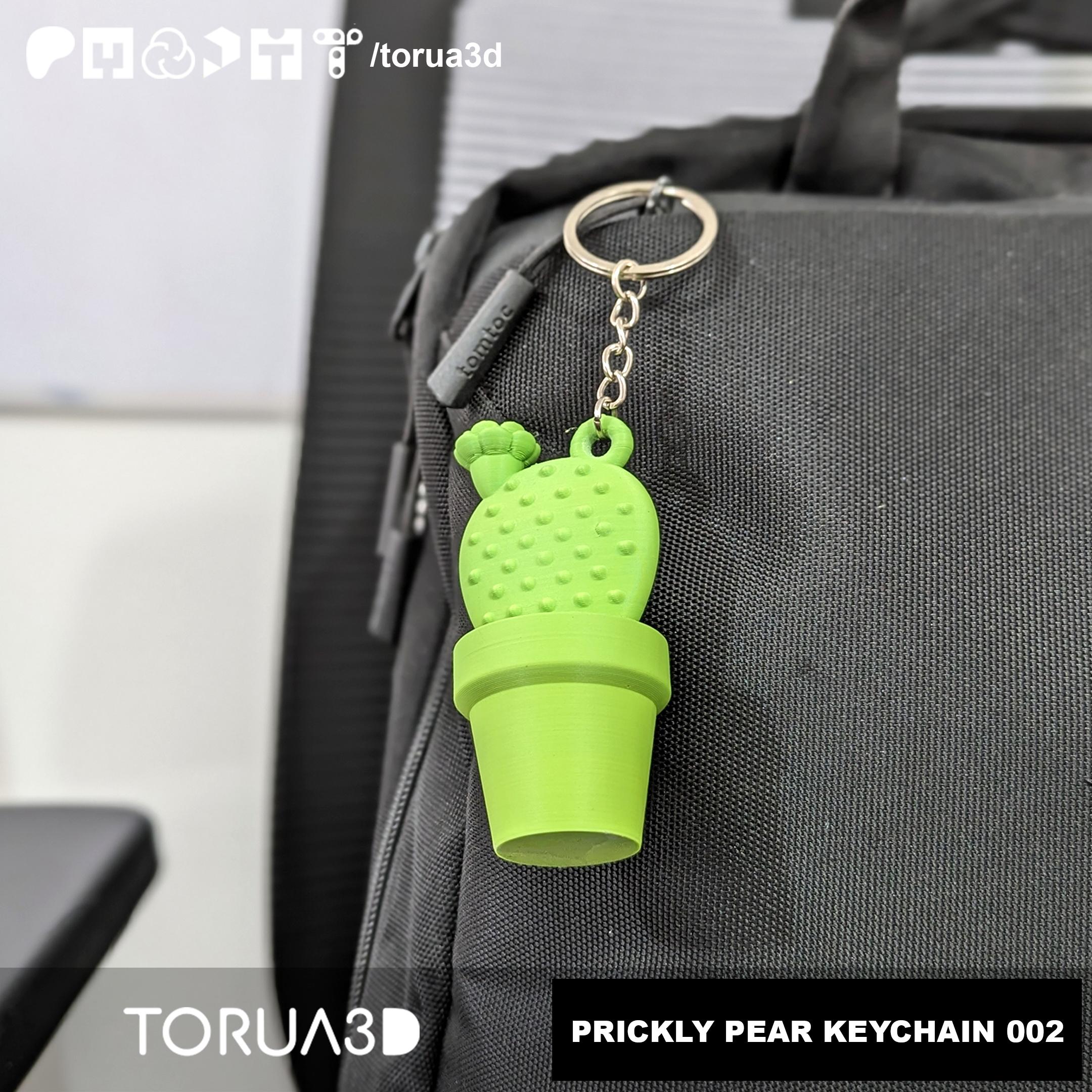 PRICKLY PEAR KEYCHAIN 002  3d model