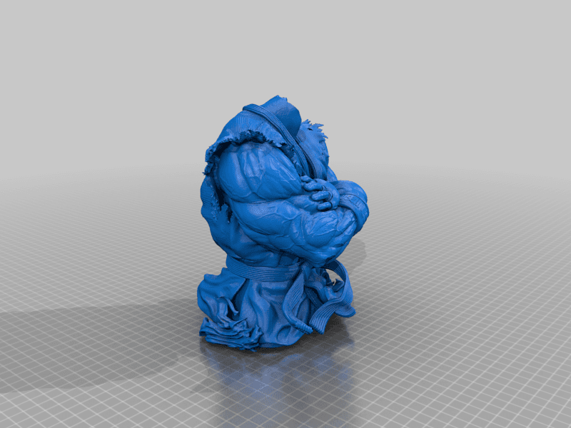 WICKED RYU BUST: TESTED AND READY FOR 3D PRINTING 3d model