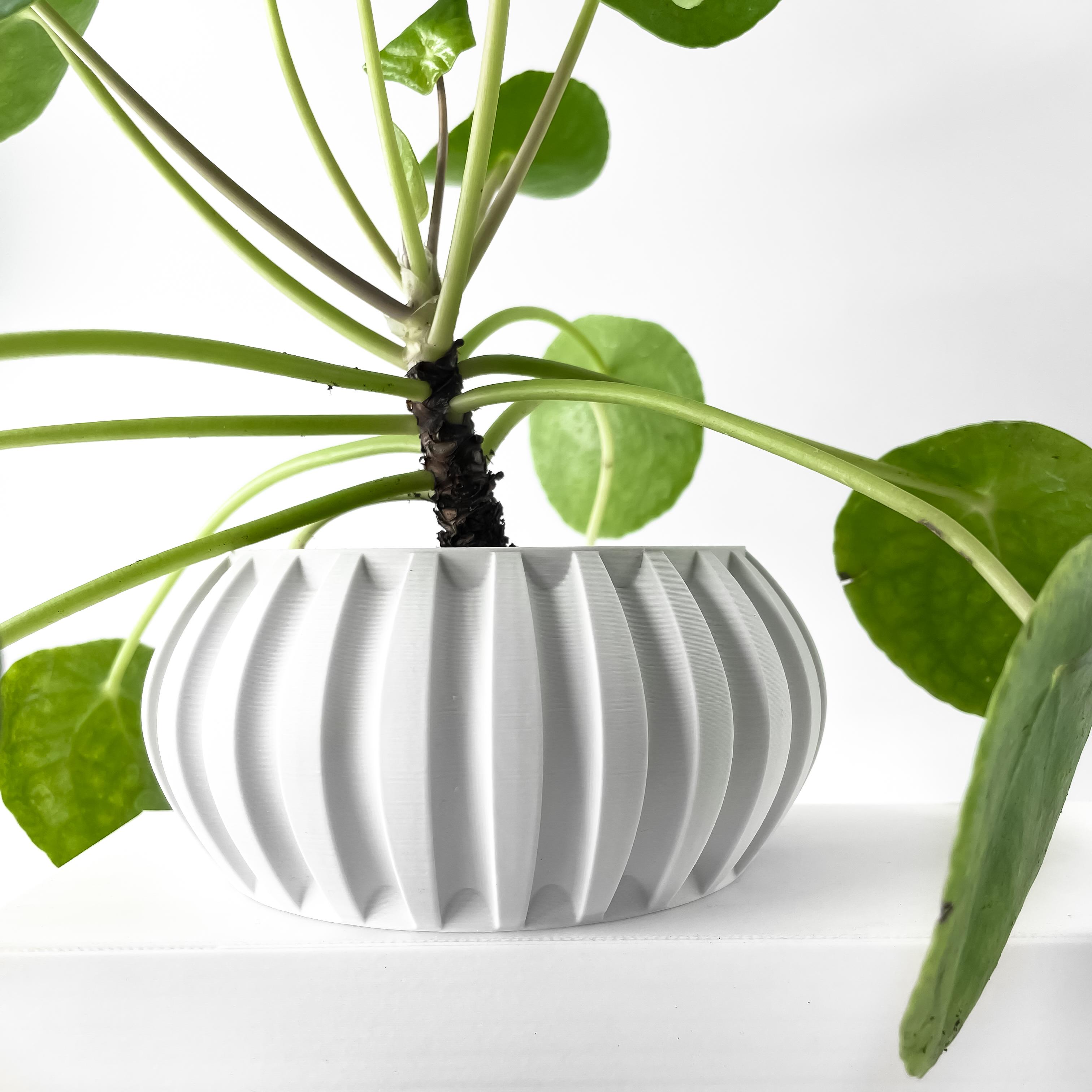 The Alden Planter Pot with Drainage Tray & Stand Included | Modern and Unique Home Decor 3d model