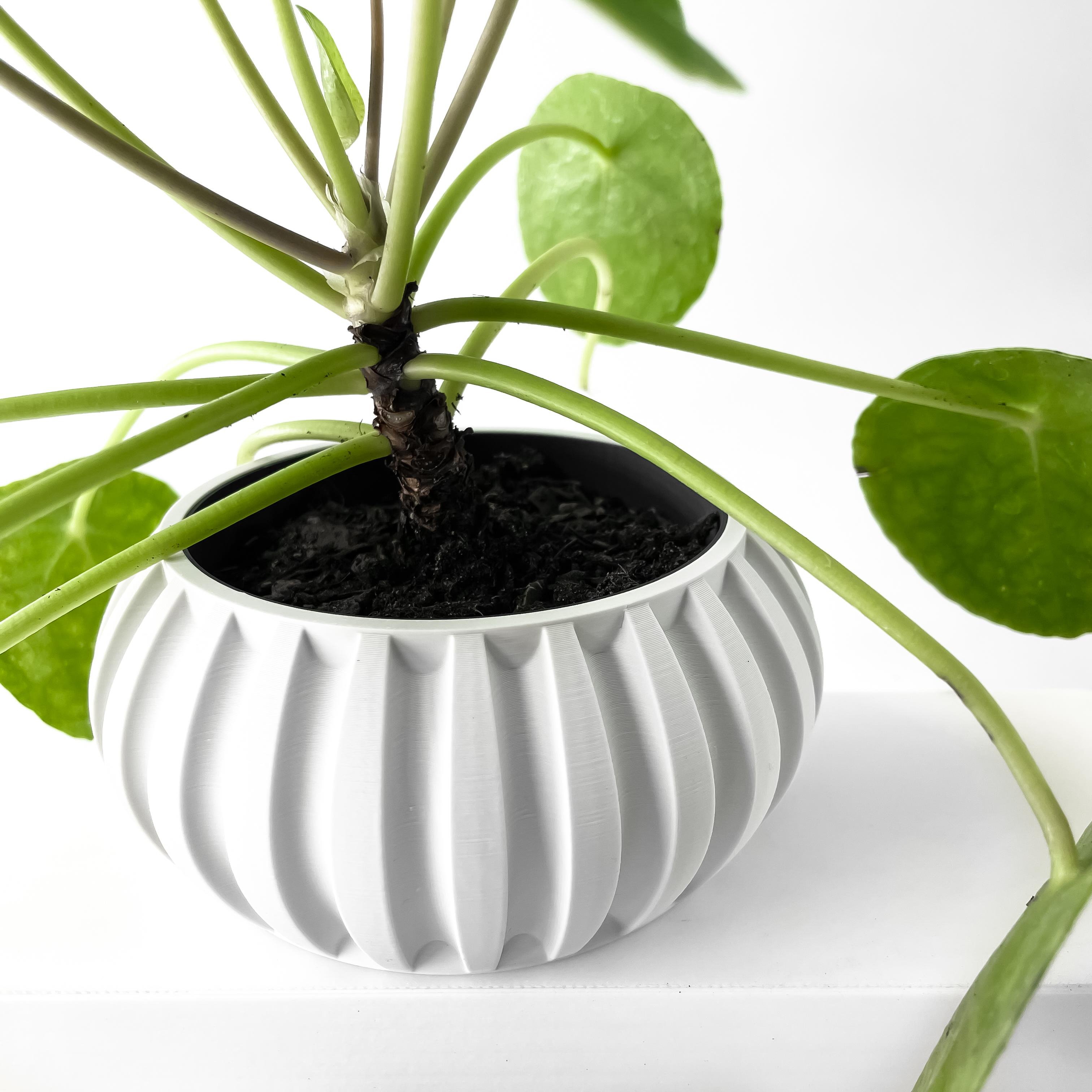 The Alden Planter Pot with Drainage Tray & Stand Included | Modern and Unique Home Decor 3d model