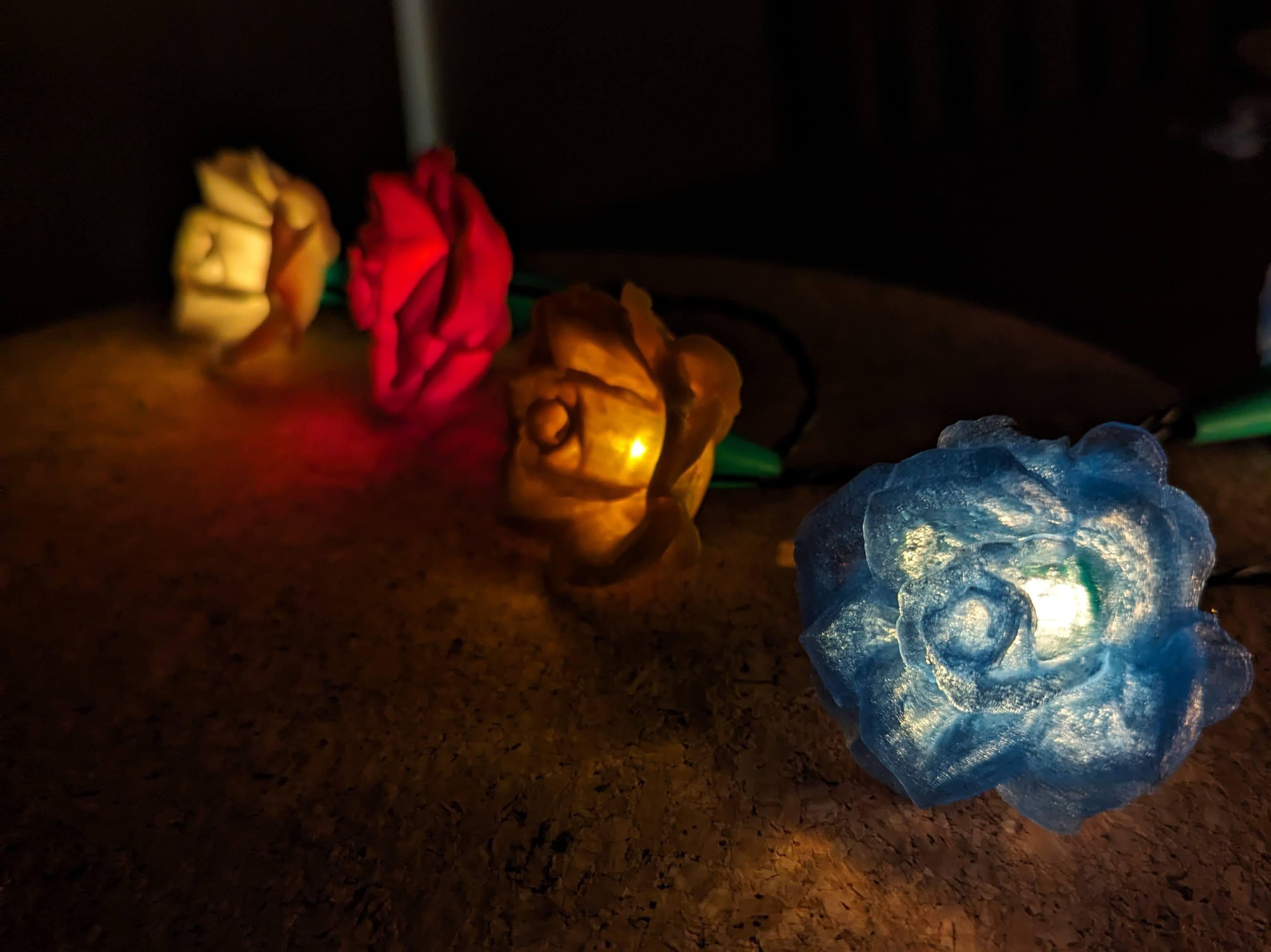 Rose Lights - clip on fairy light covers 3d model