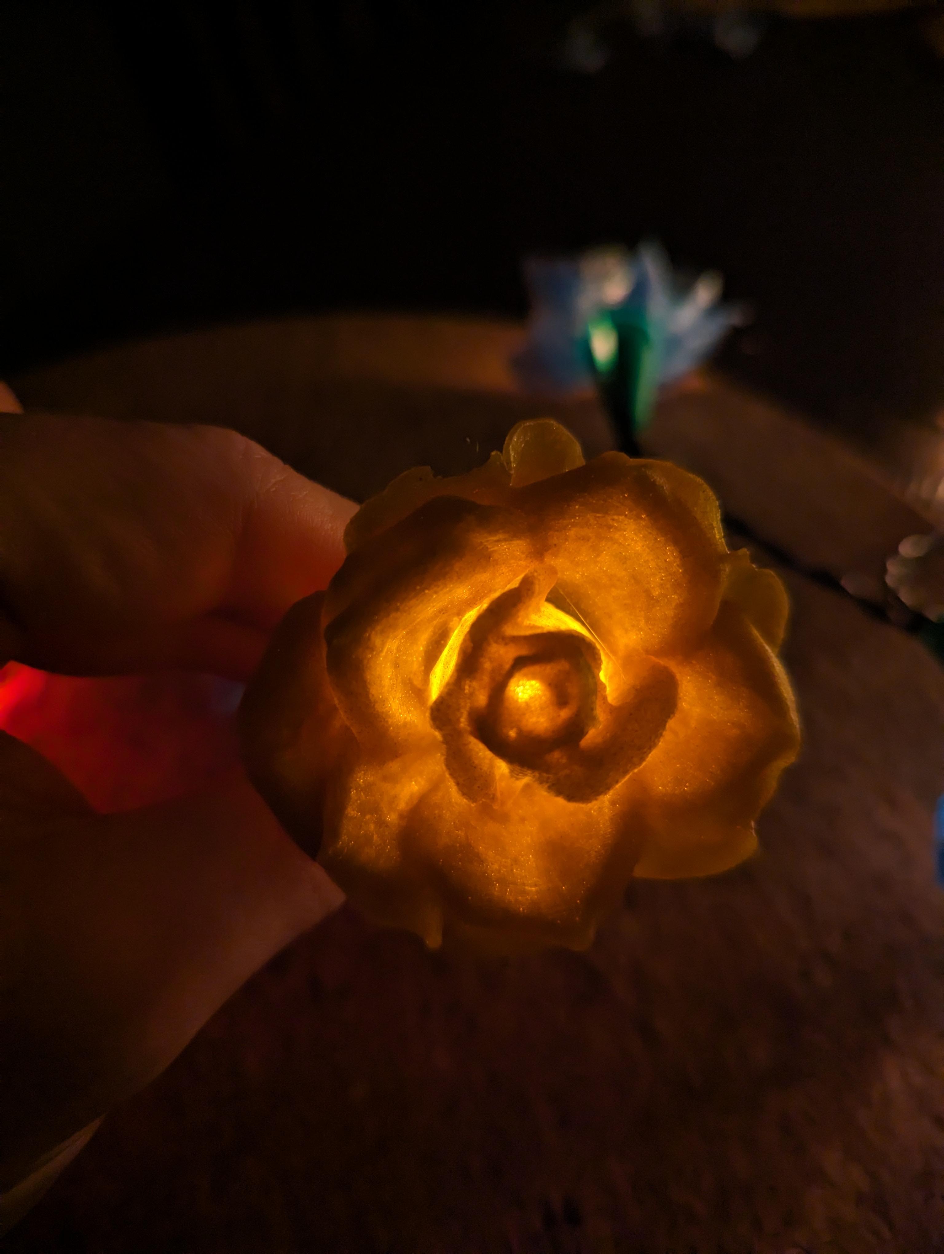 Rose Lights - clip on fairy light covers 3d model