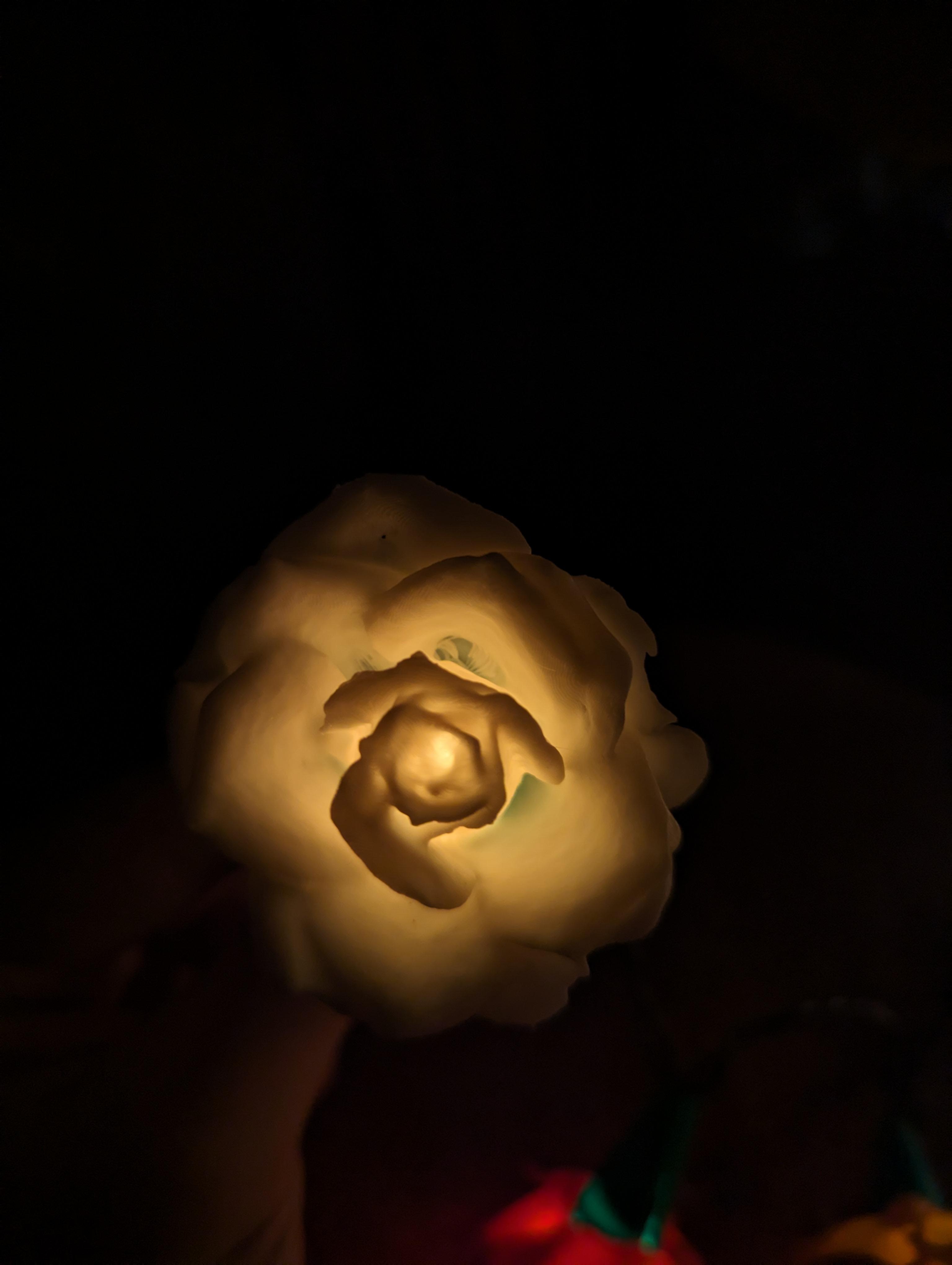 Rose Lights - clip on fairy light covers 3d model