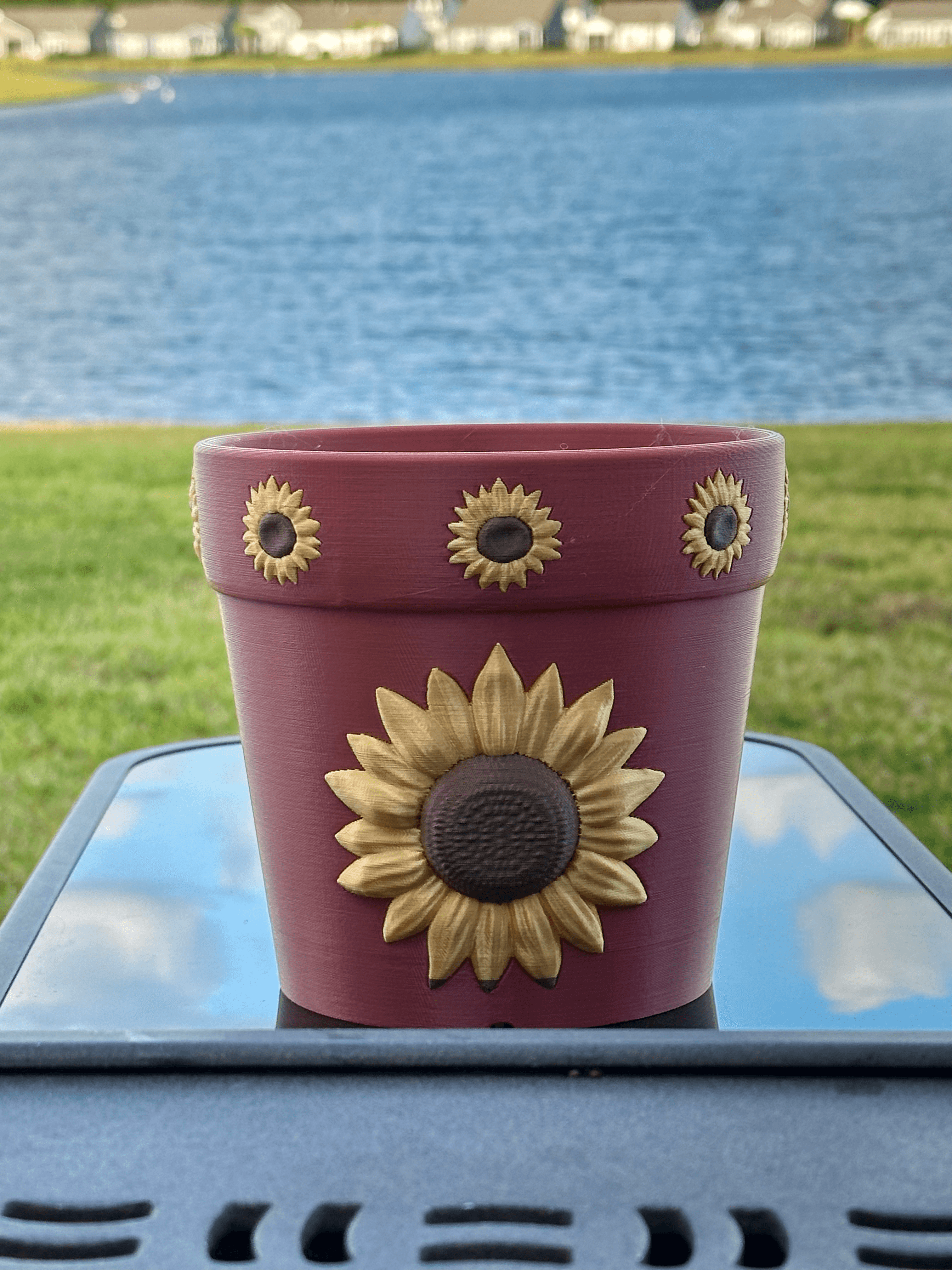 Sunflower and Rainbow Planters 3d model