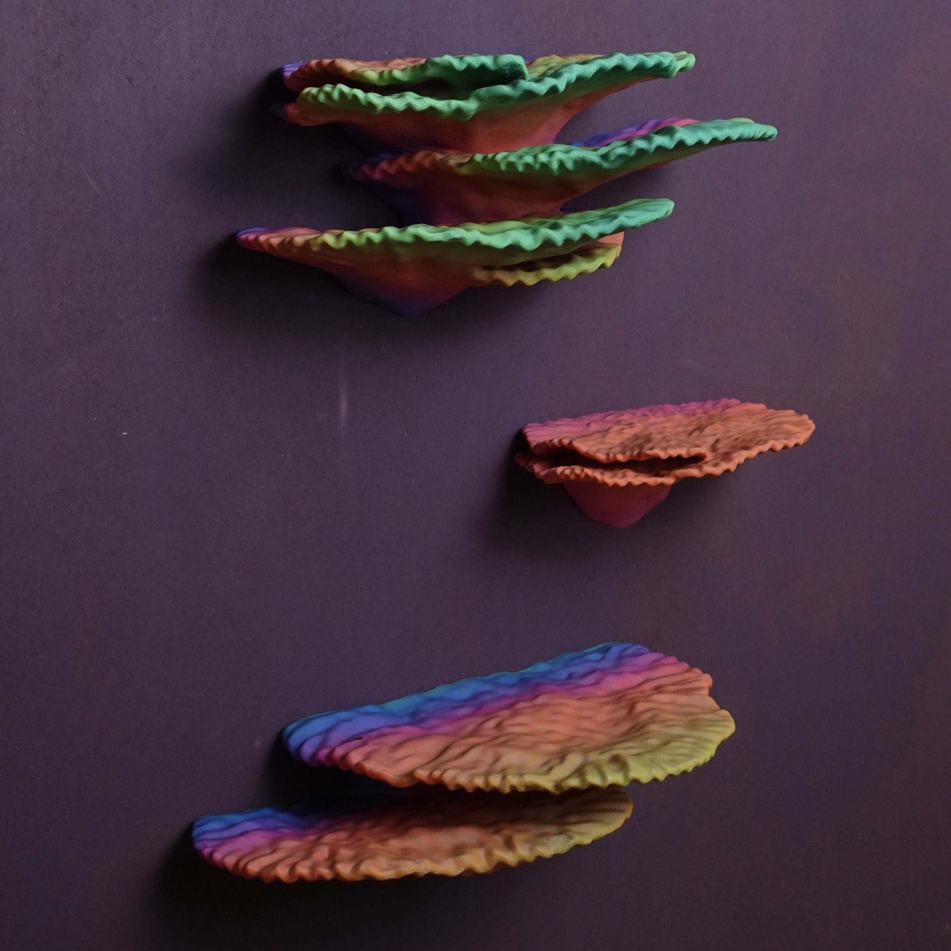 Coral wall shelf “Montipora Capricornis” 3d model