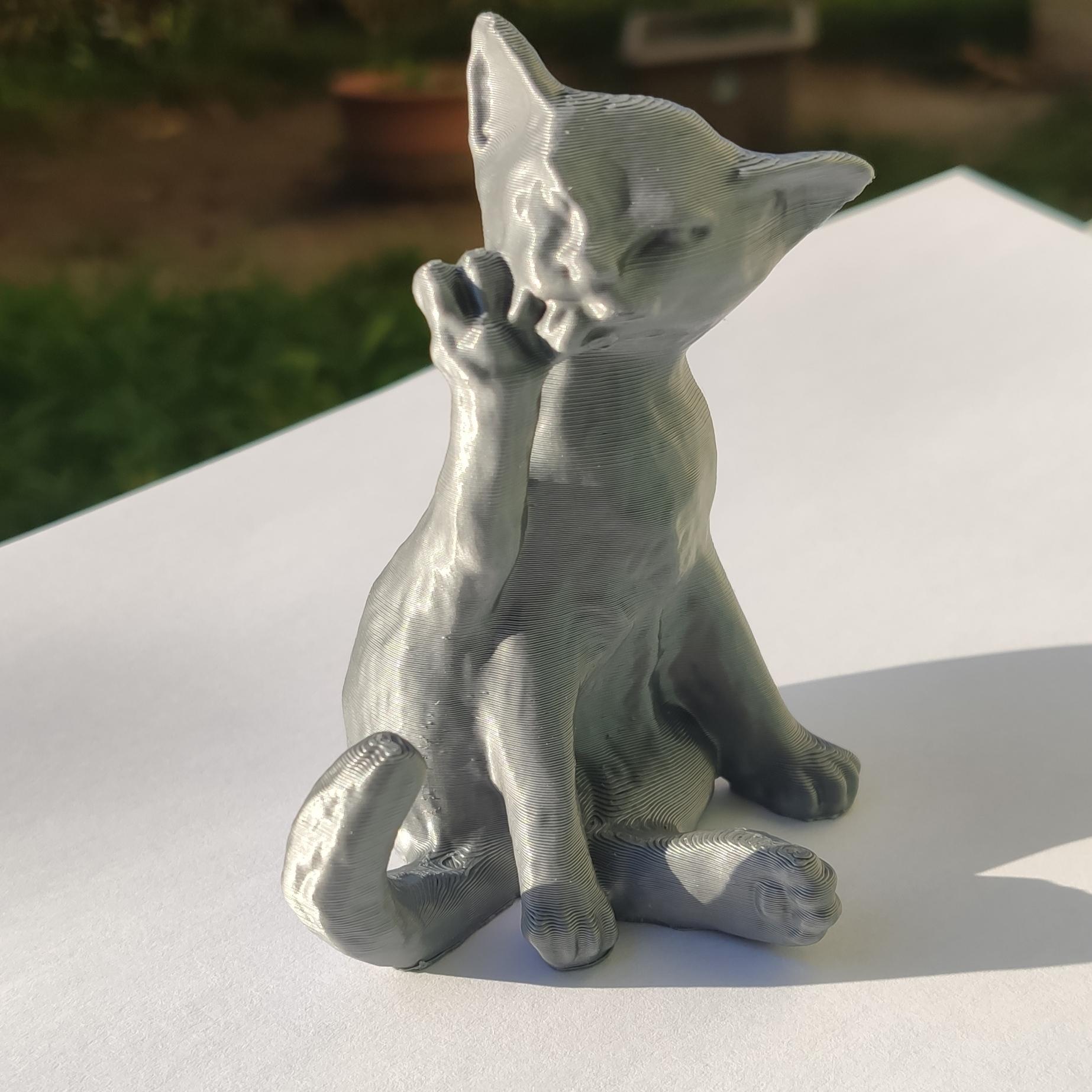 Sphinx cat 3d model