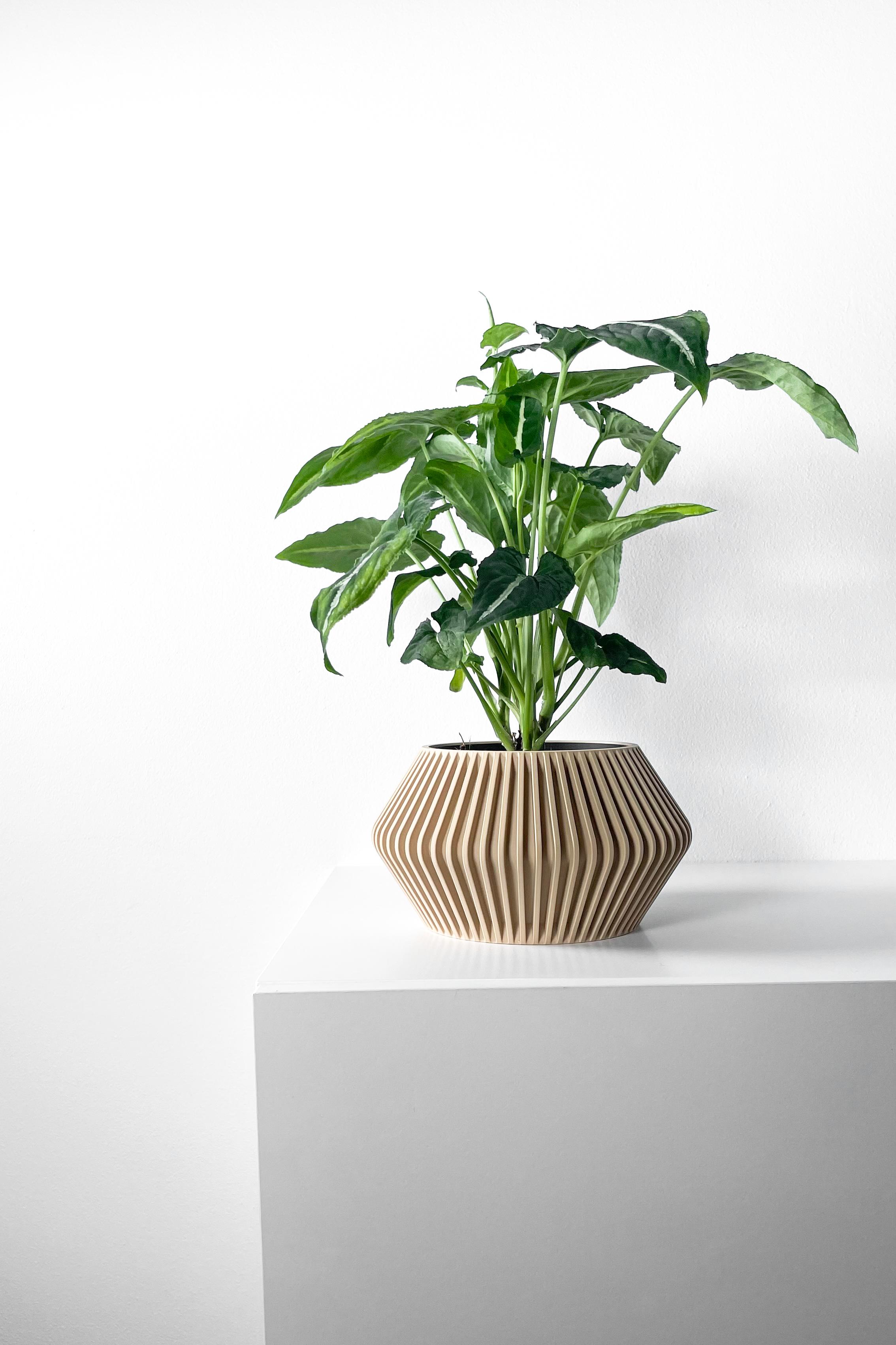 The Hendro Planter Pot with Drainage Tray & Stand Included | Modern and Unique Home Decor 3d model