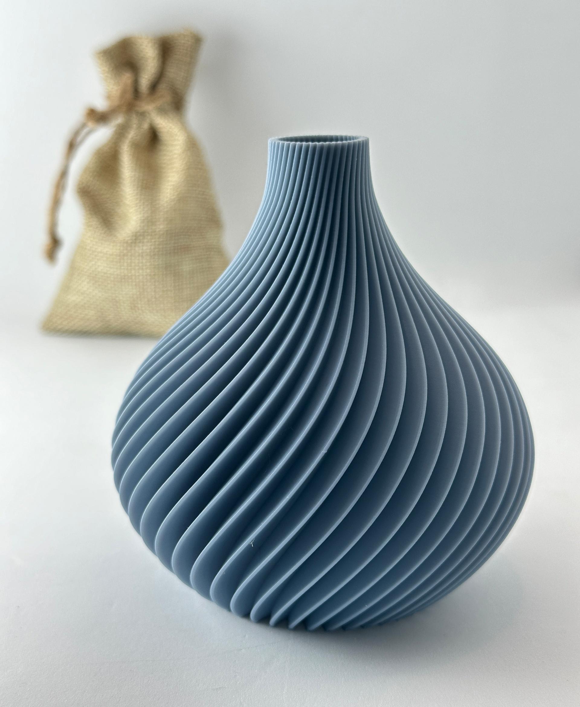 The Scand Vase - A Botany Chic Vase 3d model