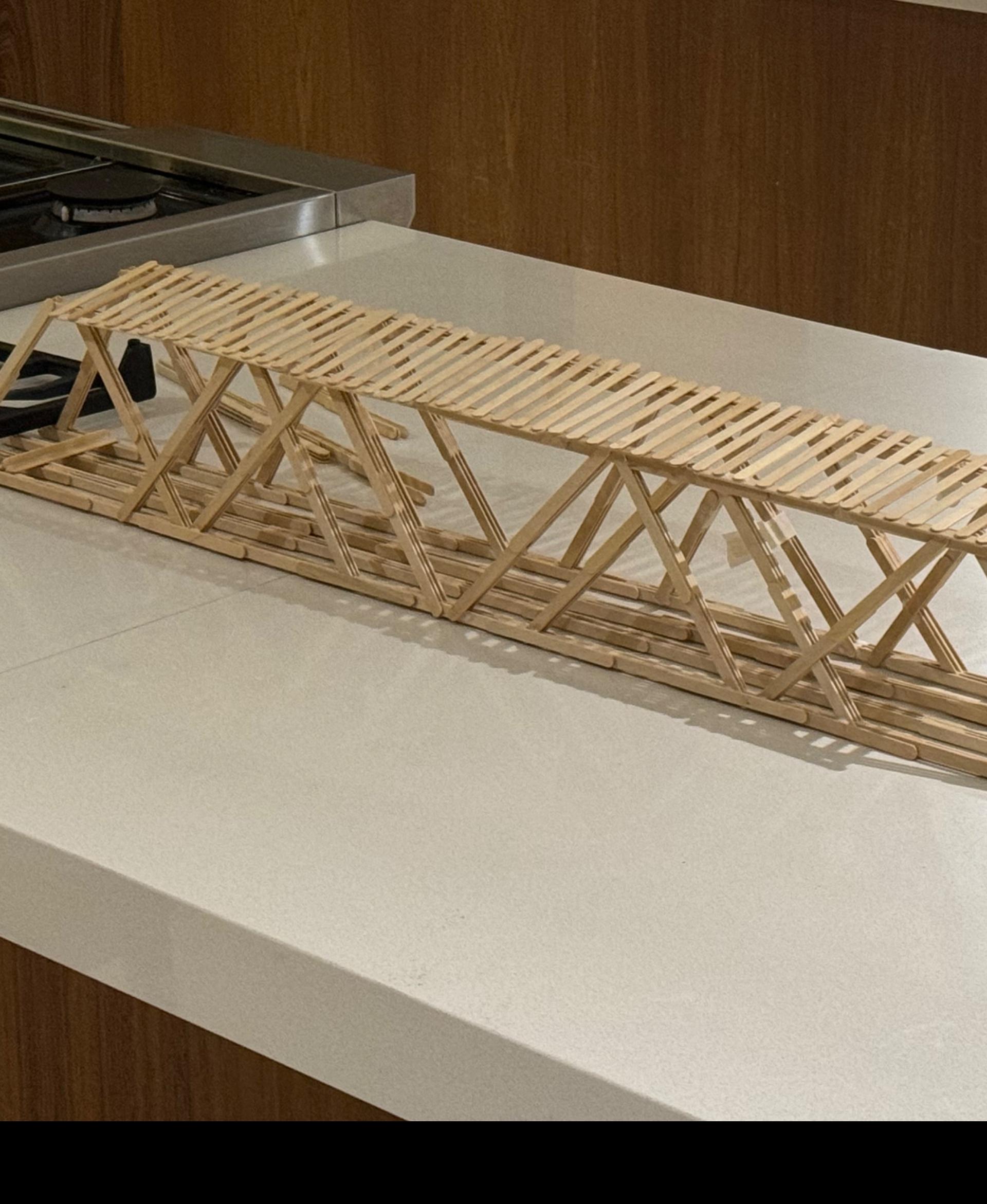 Popsicle Stick Bridge 3d model