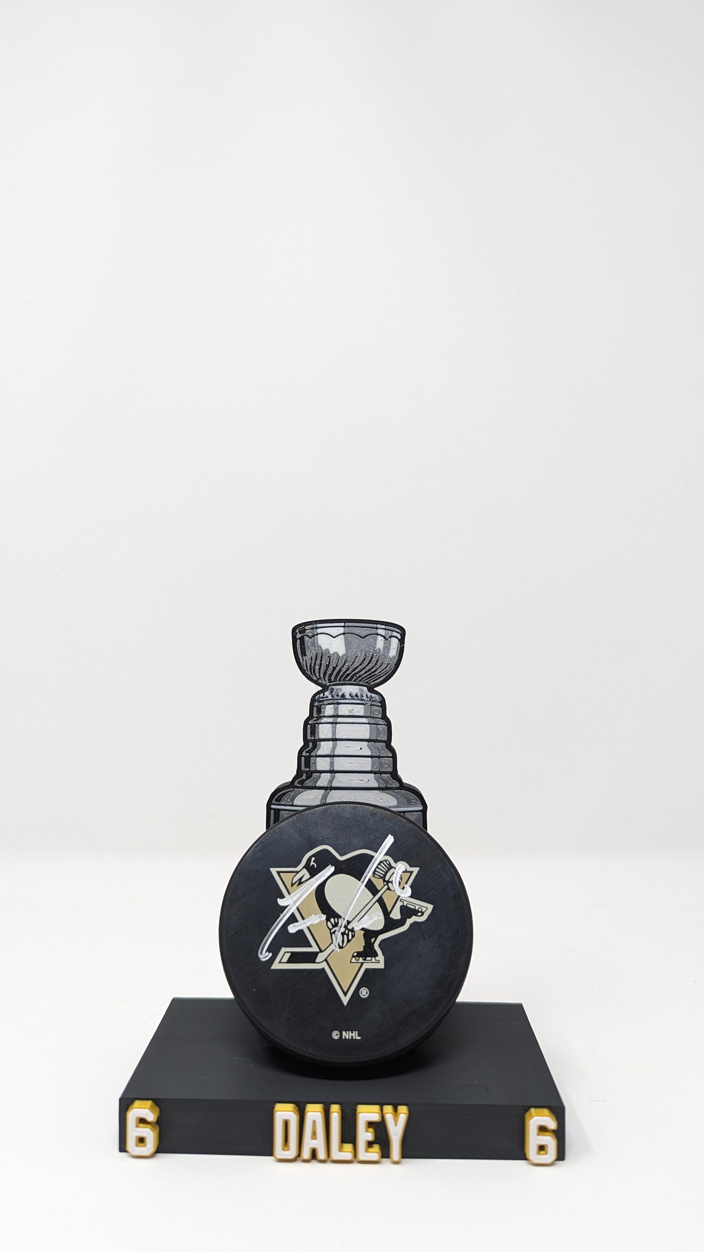Hockey Puck Display_Stanley Cup 3d model