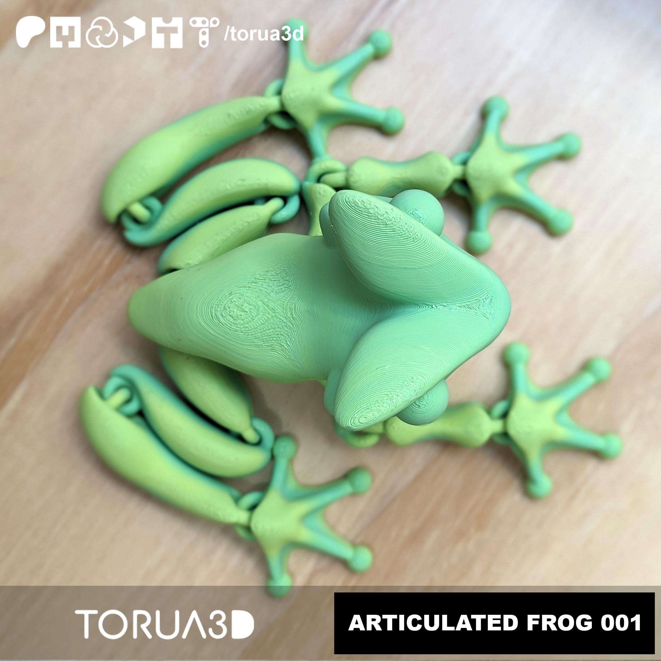 Articulated Frog 001 by TORUA3D 3d model
