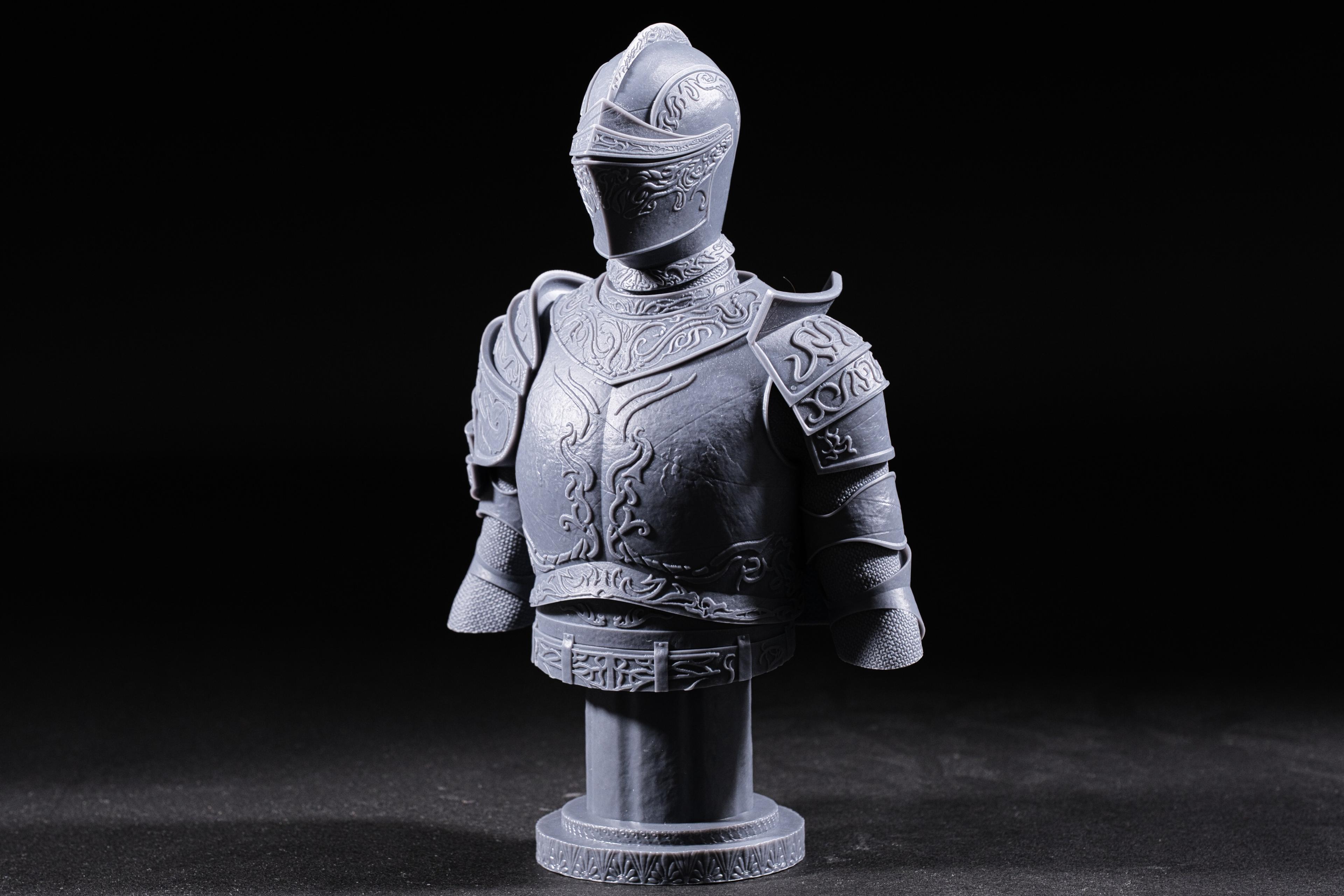 Drakeblood Knight bust - Dark Souls 2 (Pre-Supported) - 3D model