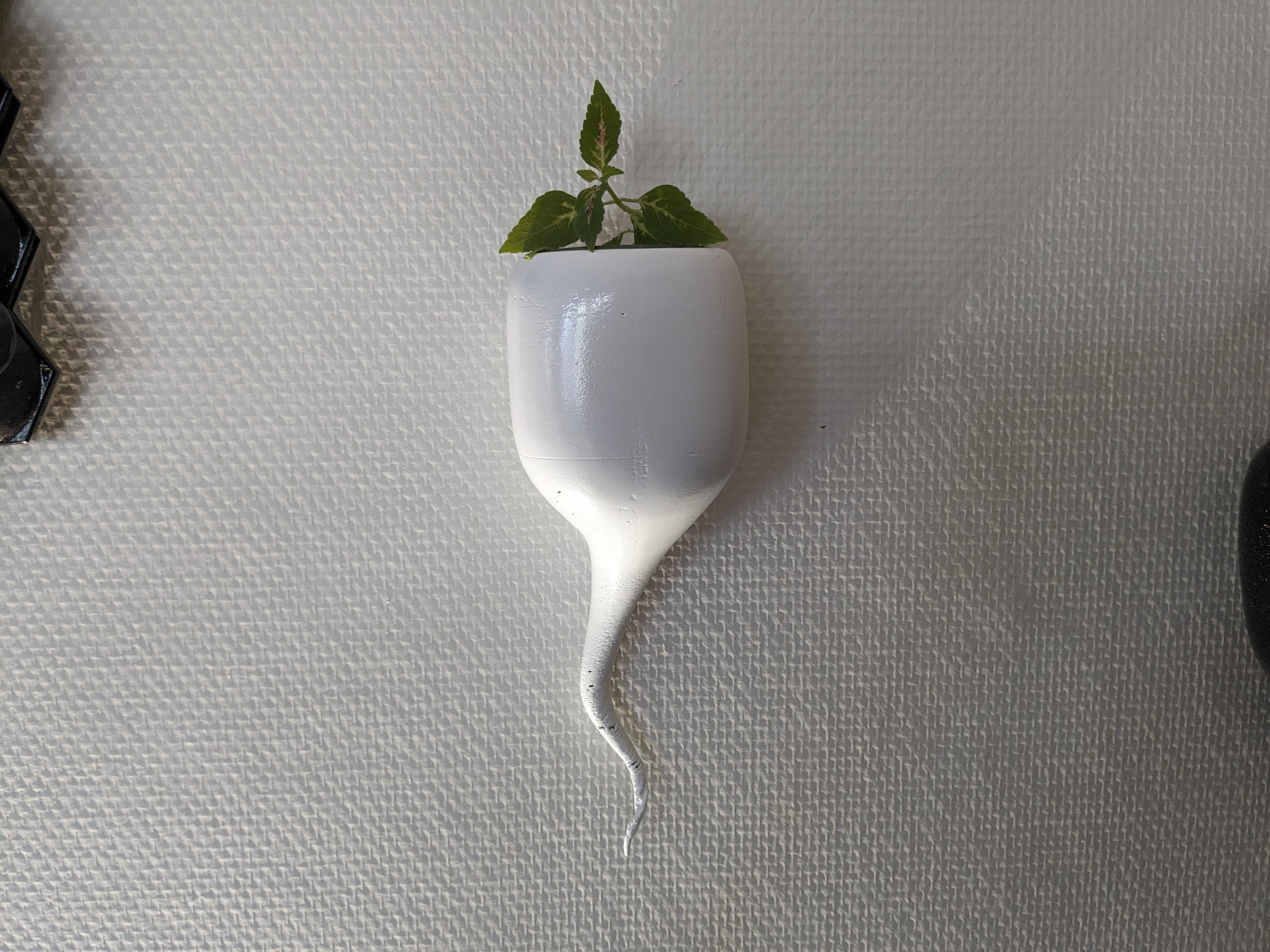 White Drop Plant Pot 3d model