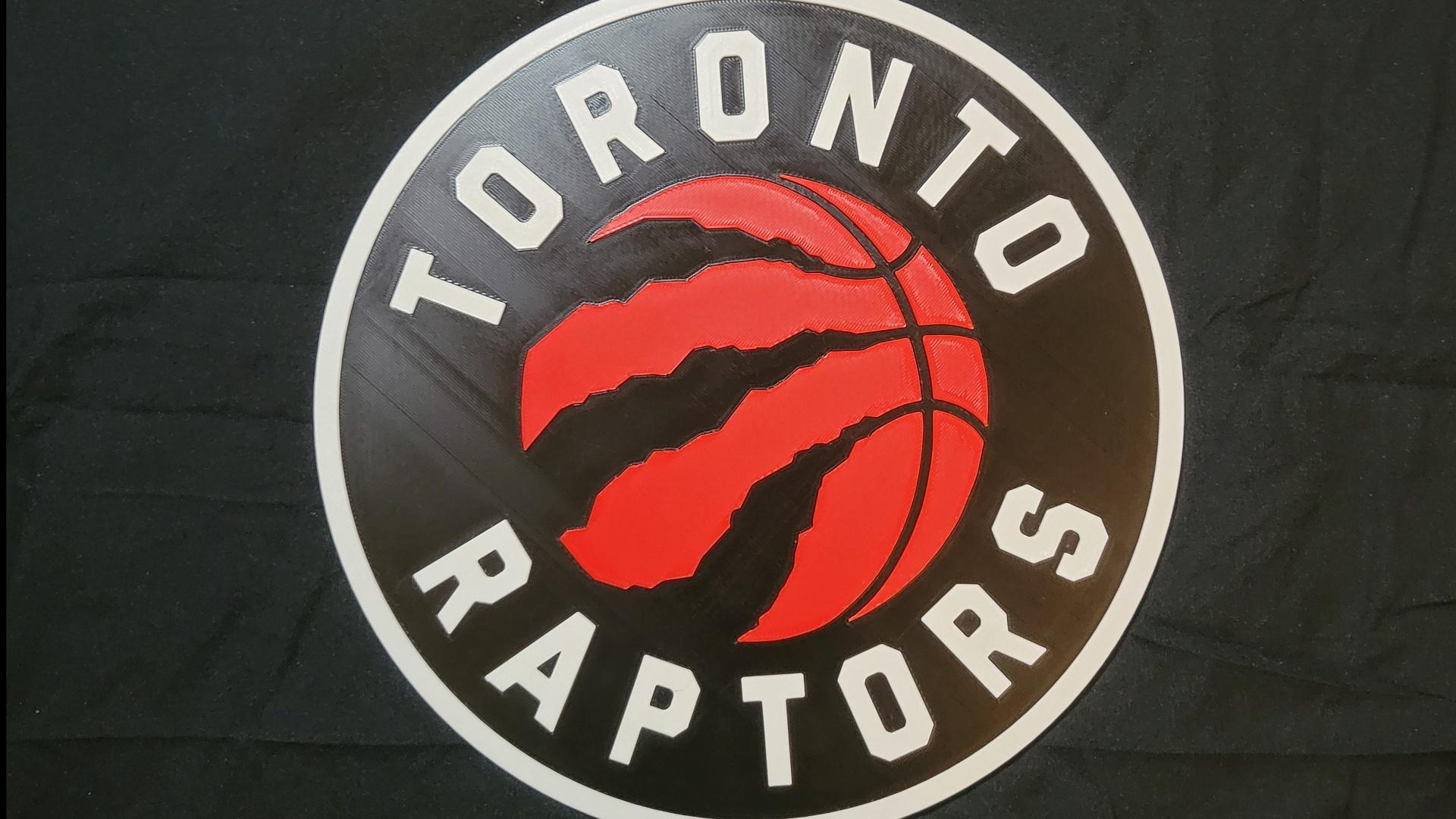 Toronto Raptors 3d model