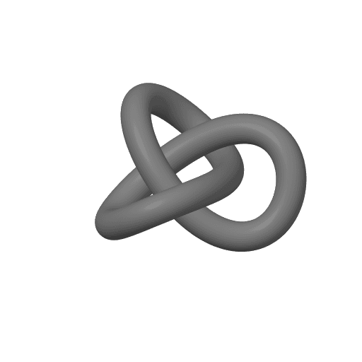 Torous Knot Bundle (3 Designs) 3d model