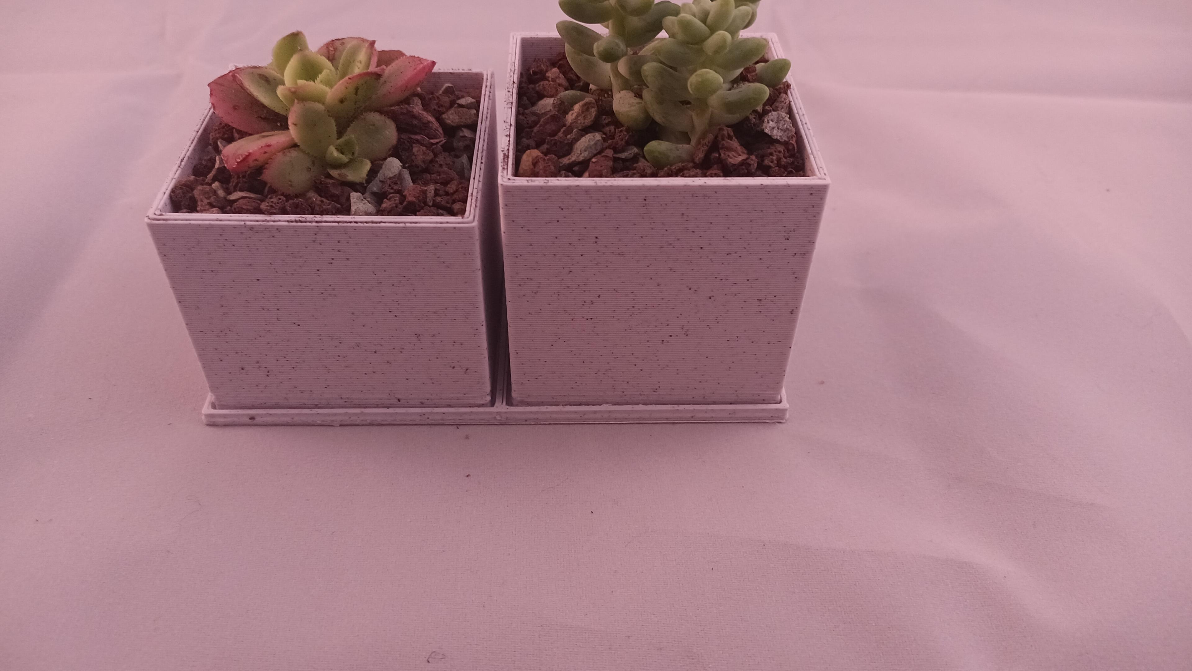 Square Modern Style Succulent Pot Planters Single Double Triple  3d model